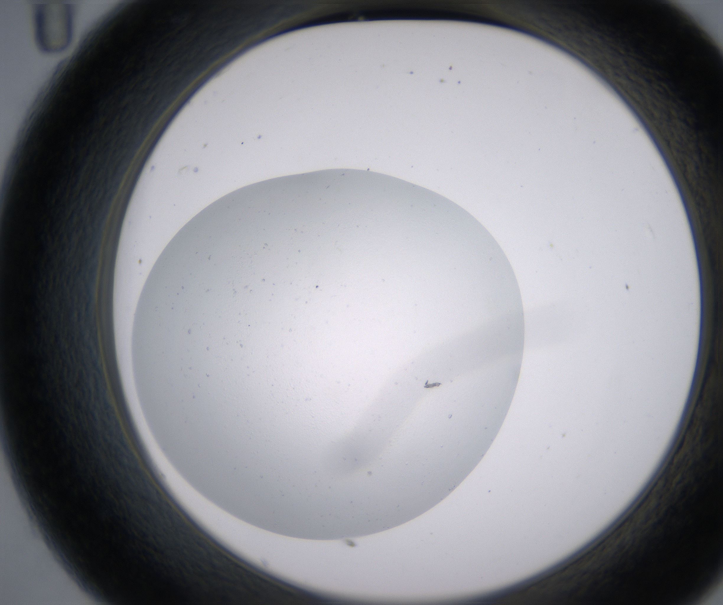 C11_HighResolution_Clear_2.jpg