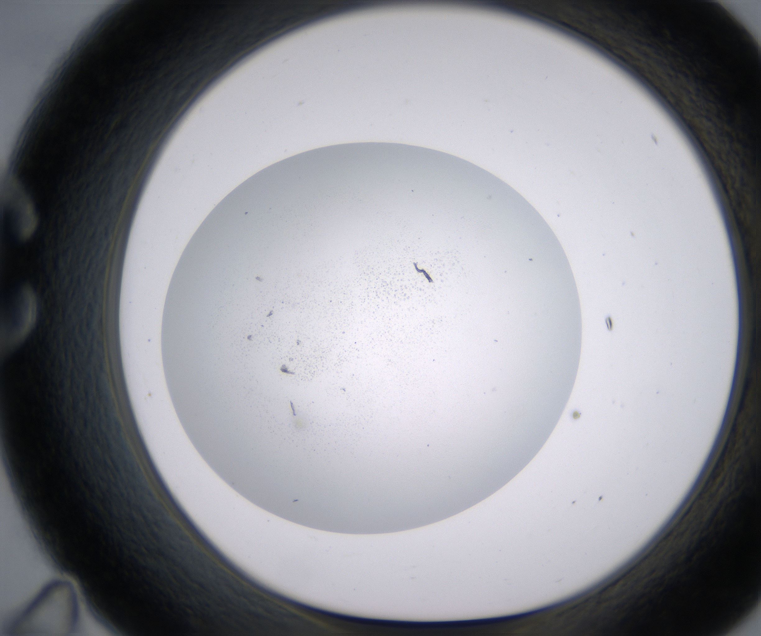C11_HighResolution_Precipitate_1.jpg
