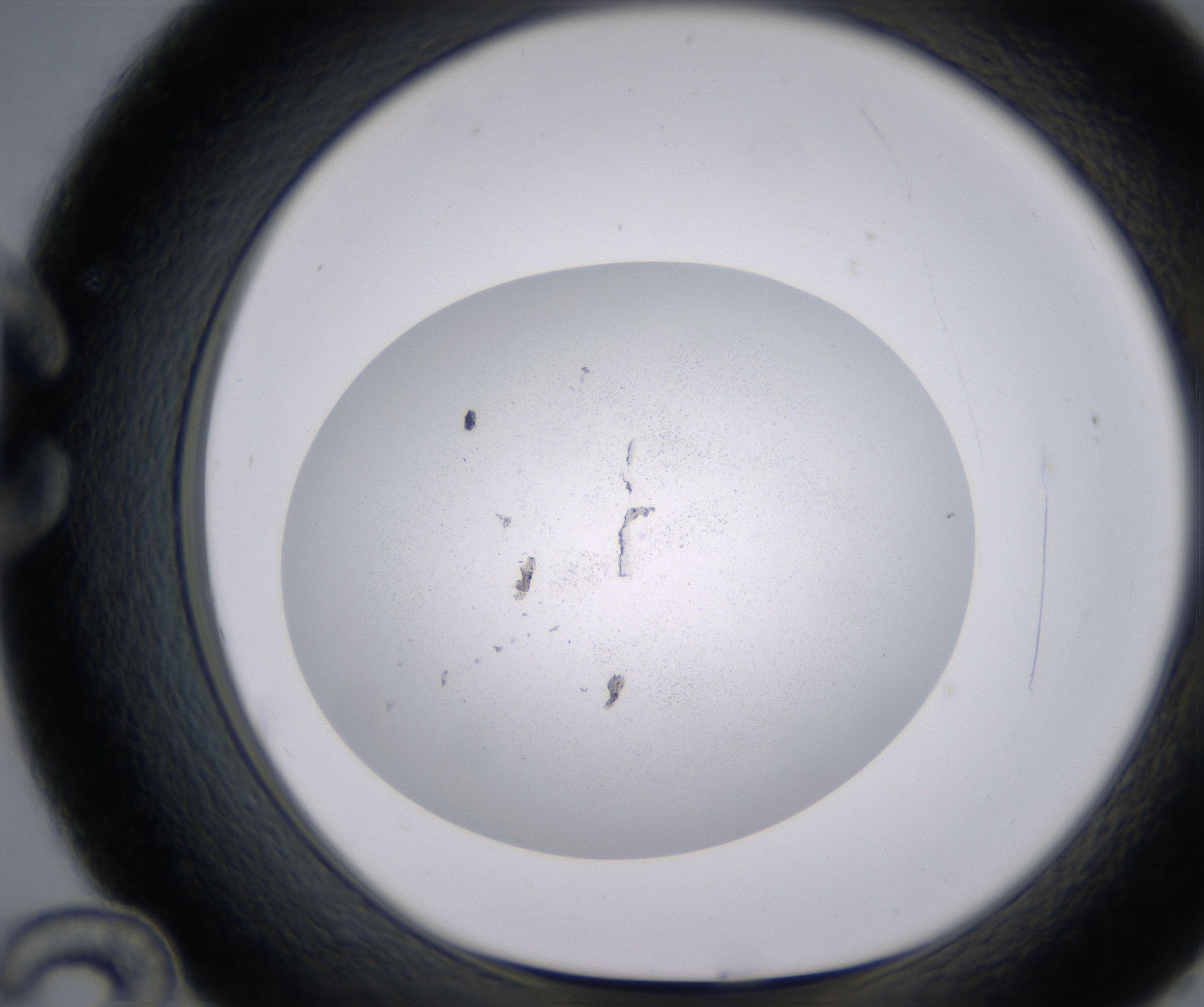 C12_HighResolution_Precipitate_1.jpg