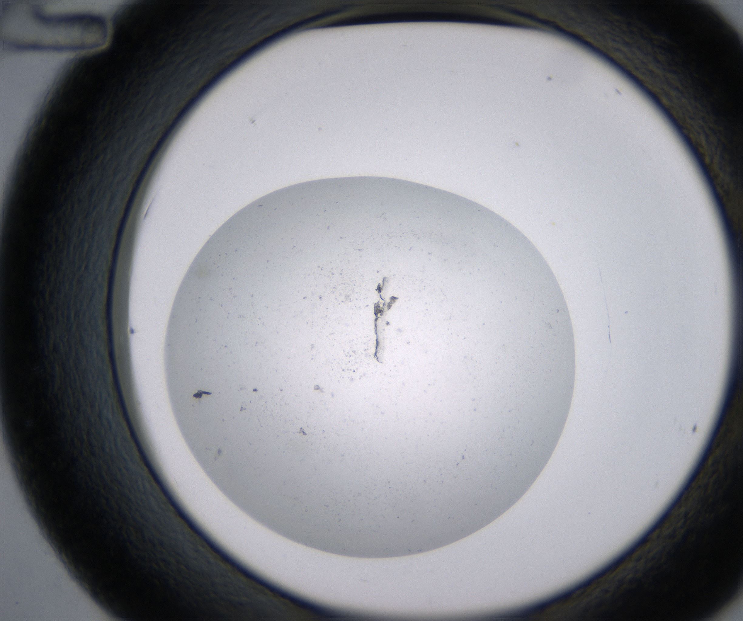 C12_HighResolution_Precipitate_2.jpg