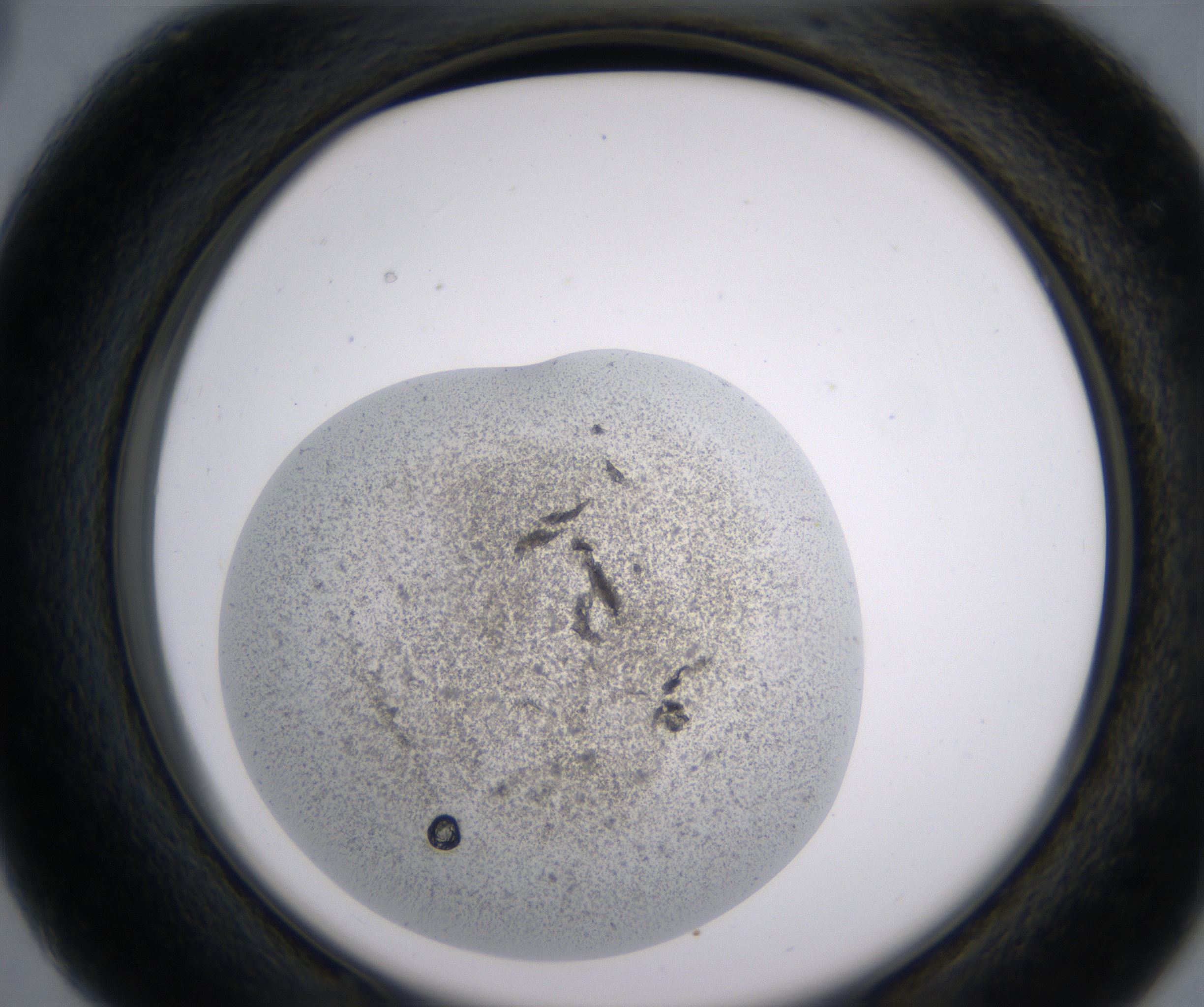 C3_HighResolution_Precipitate_2.jpg