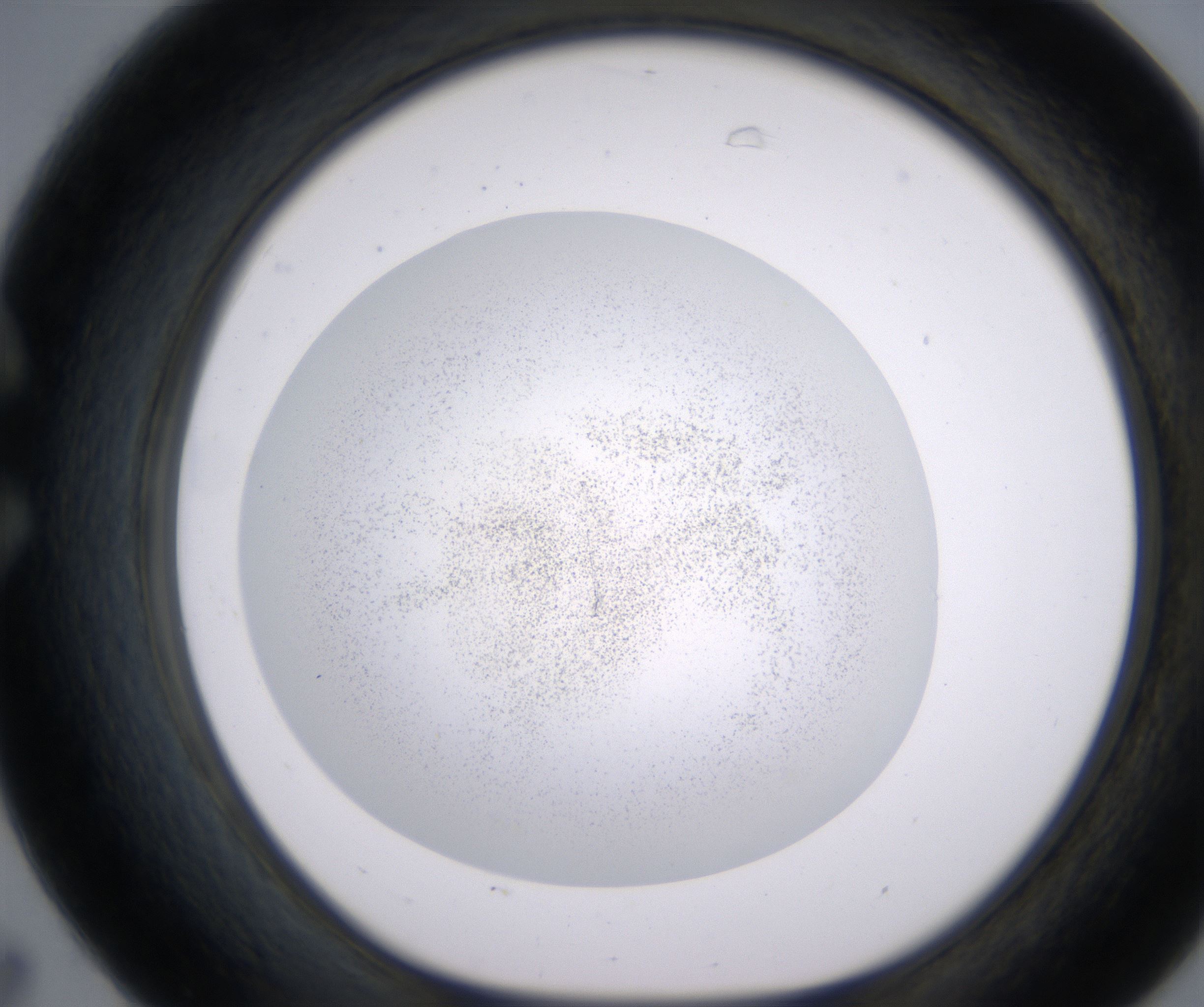 C7_HighResolution_Precipitate_1.jpg
