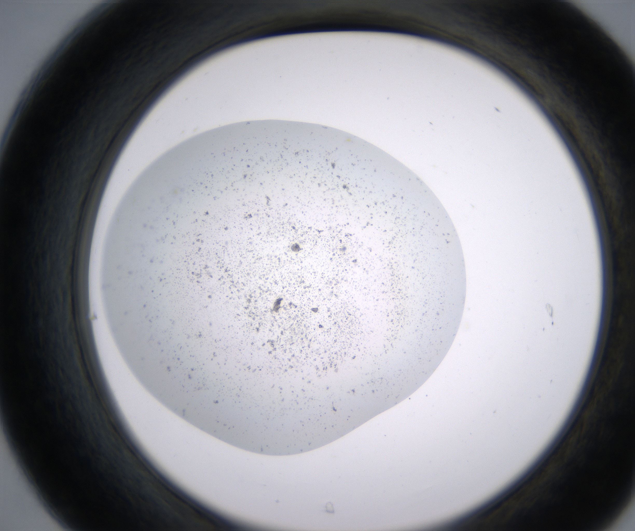 C7_HighResolution_Precipitate_2.jpg