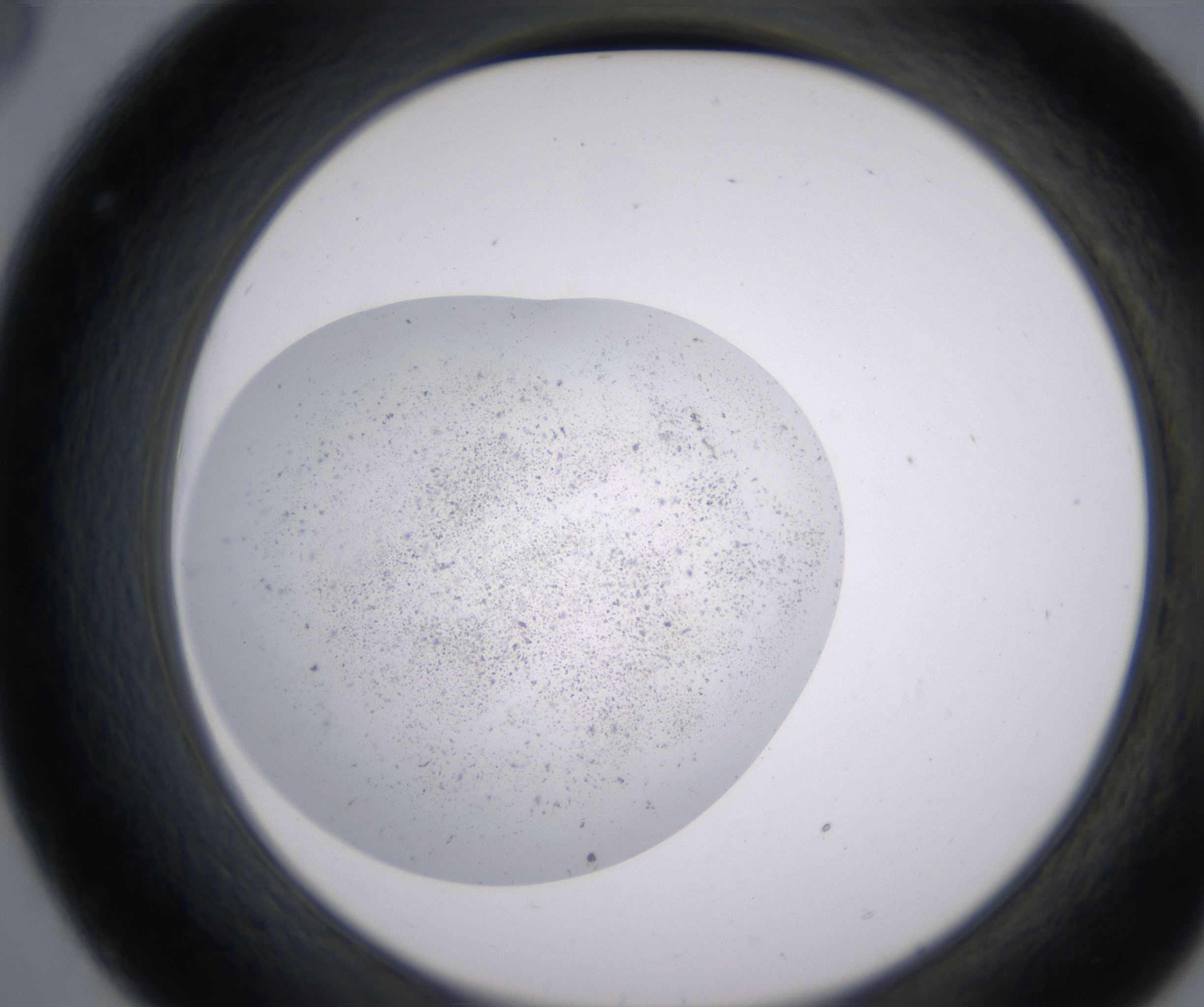 C8_HighResolution_Precipitate_2.jpg