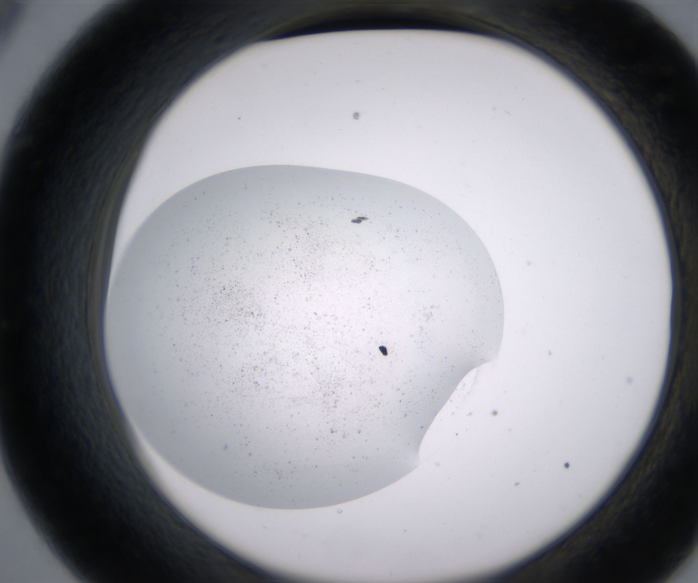 C9_HighResolution_Precipitate_2.jpg