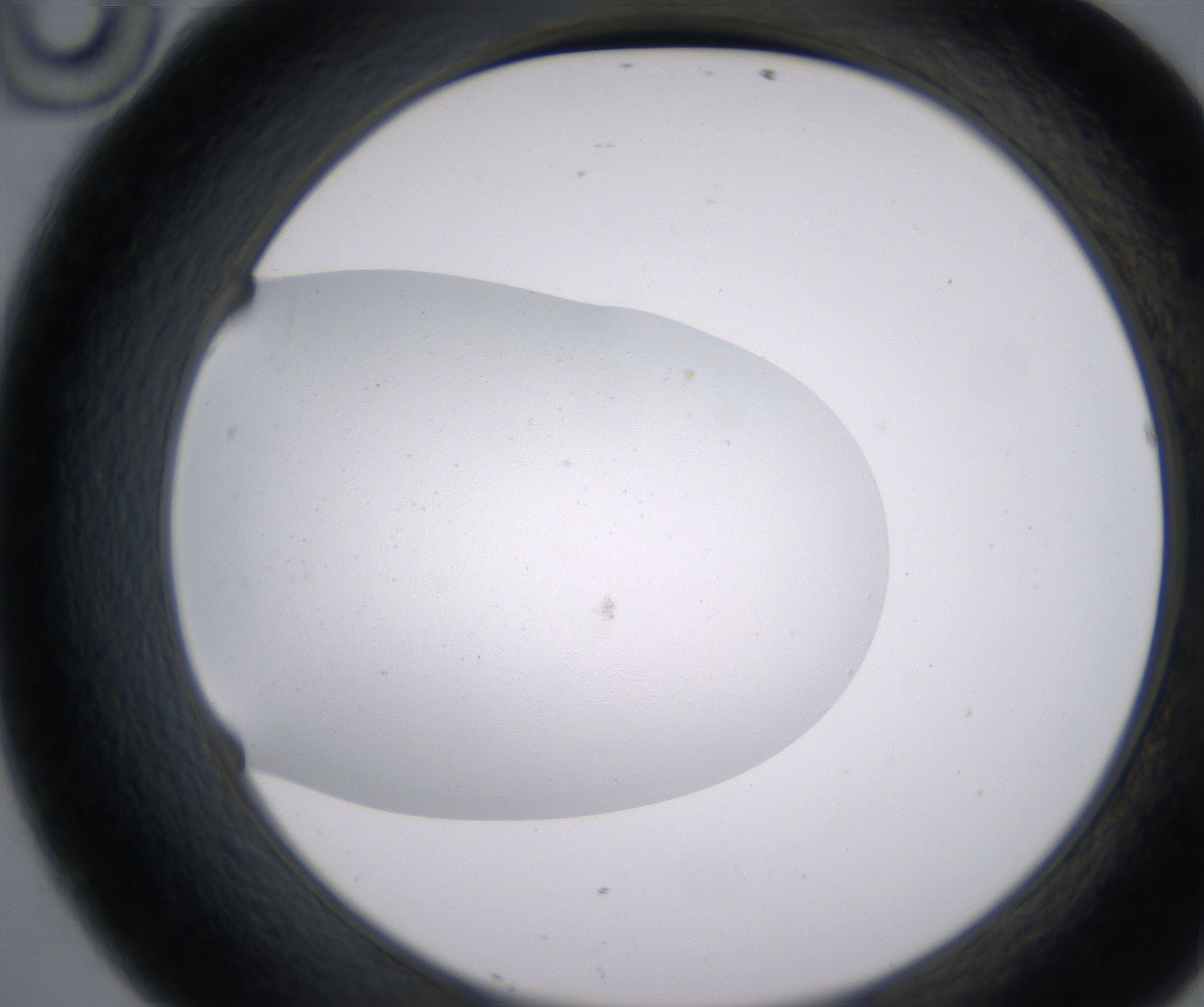 D10_HighResolution_Precipitate_2.jpg