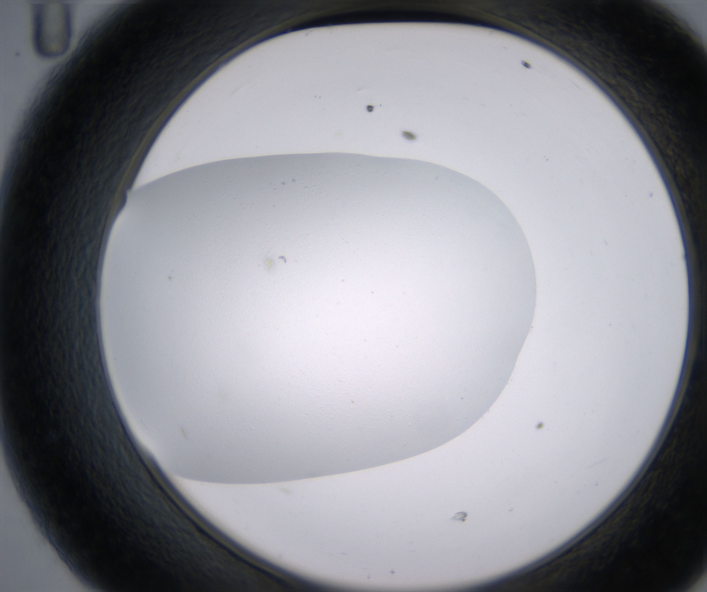 D11_HighResolution_Clear_2.jpg