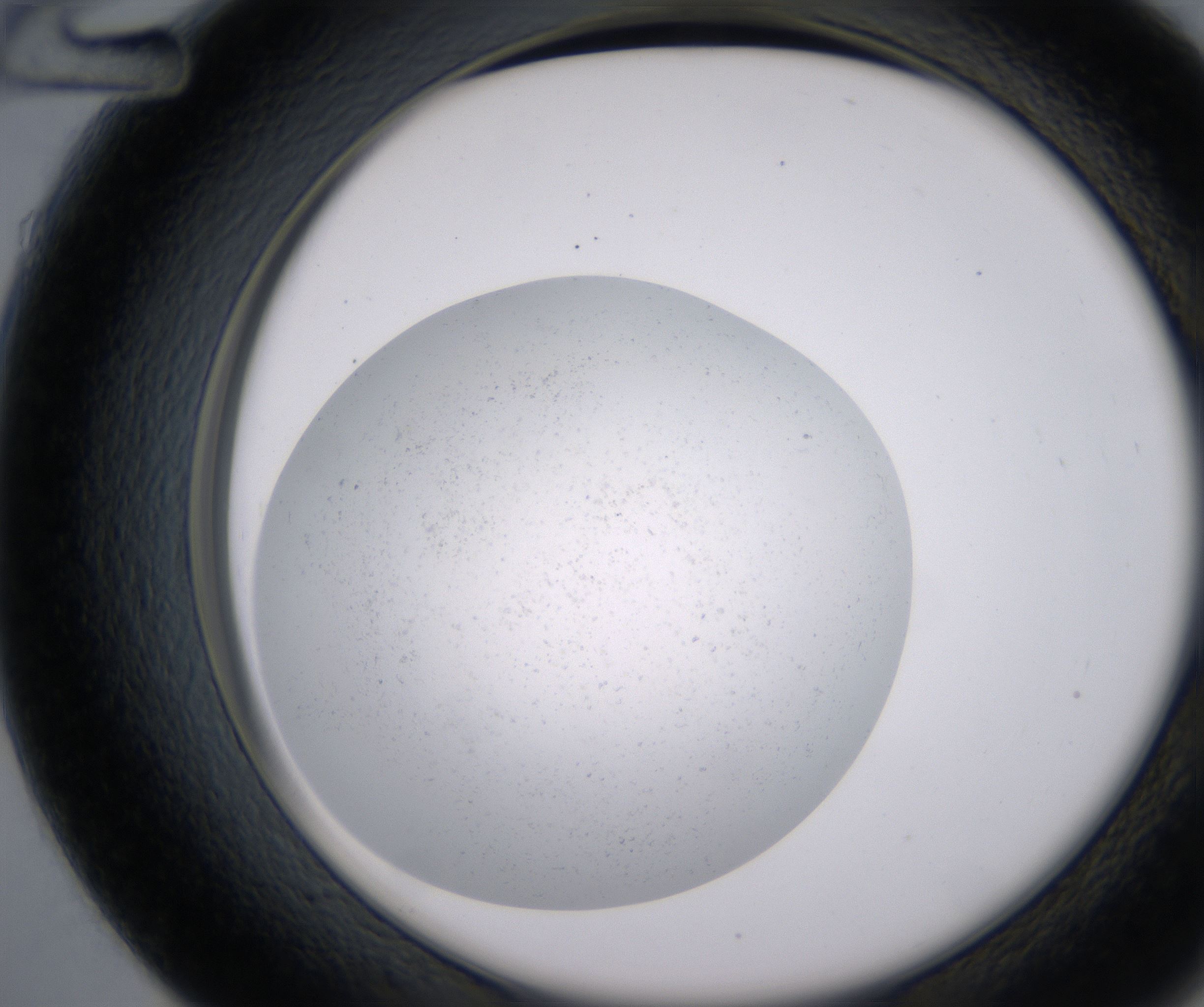 D12_HighResolution_Precipitate_2.jpg