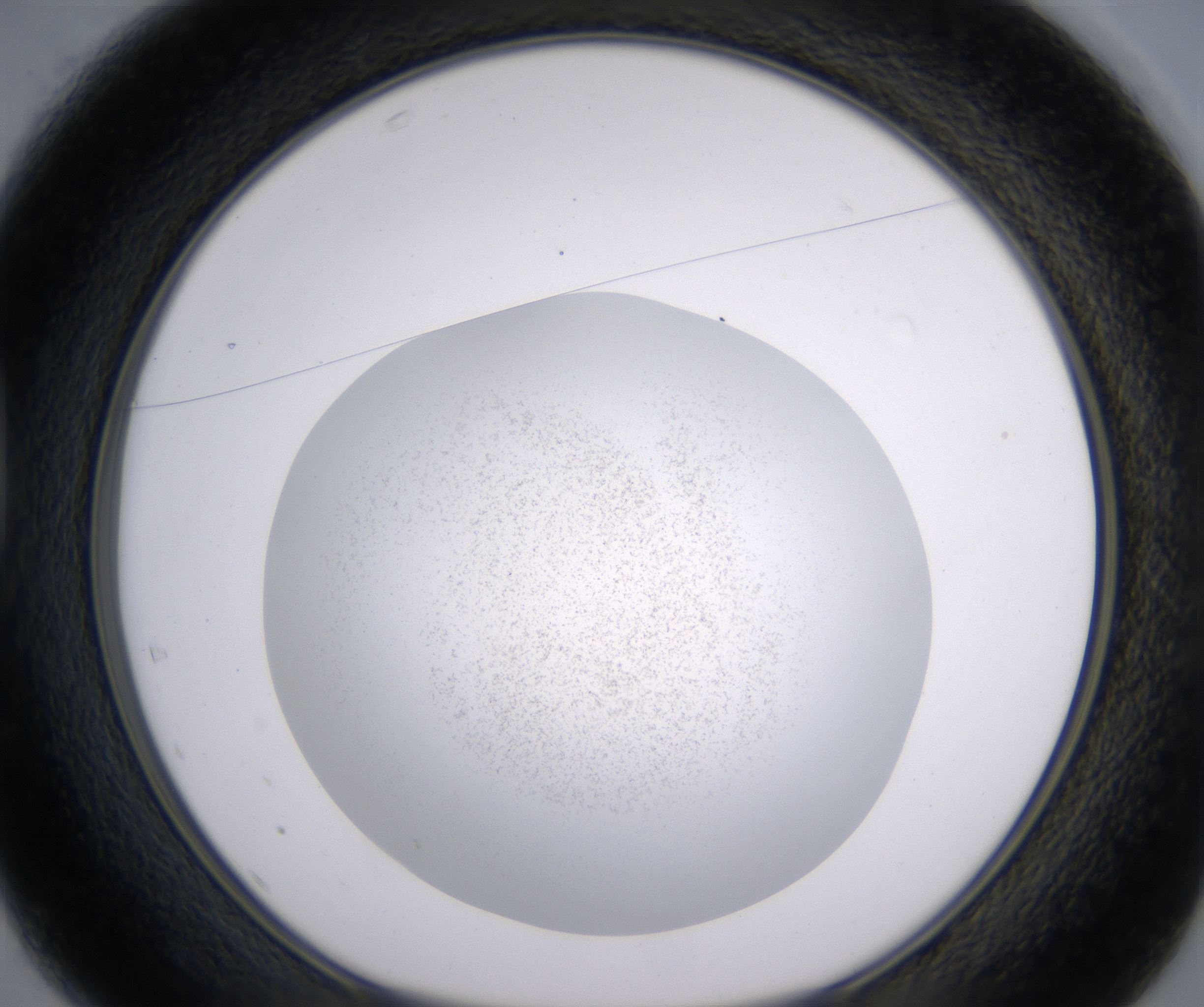 D1_HighResolution_Precipitate_1.jpg