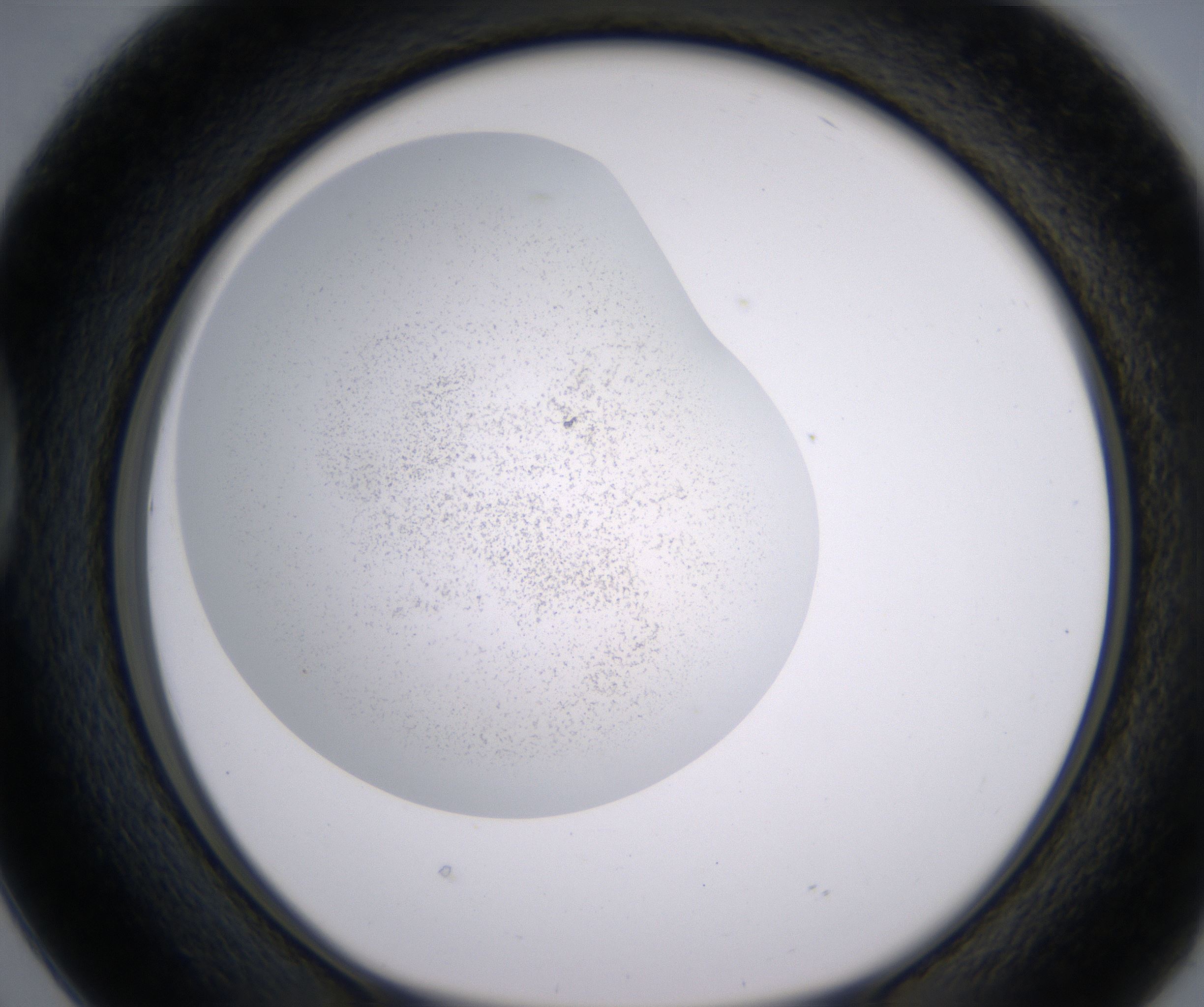 D2_HighResolution_Precipitate_1.jpg