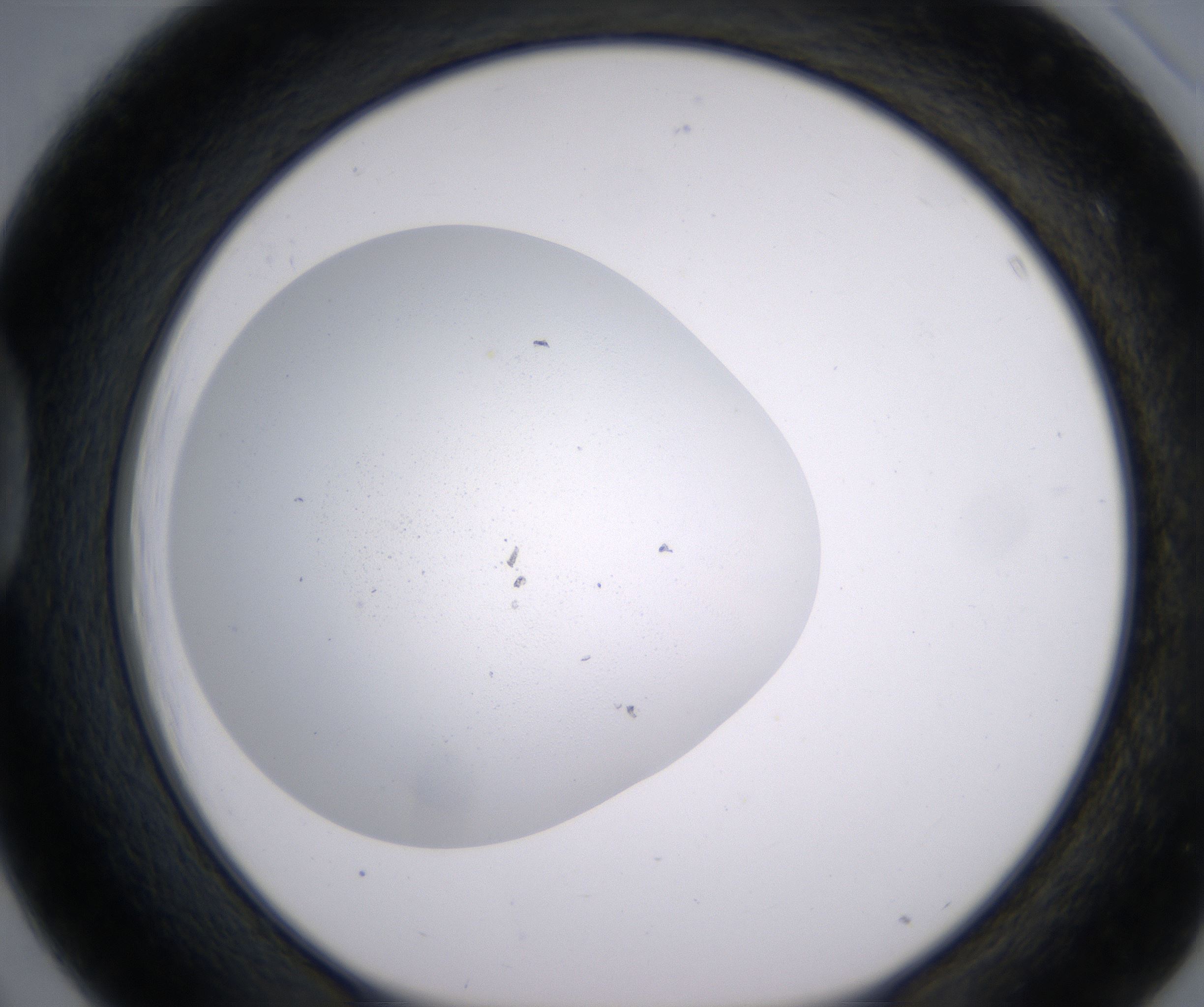 D3_HighResolution_Precipitate_1.jpg