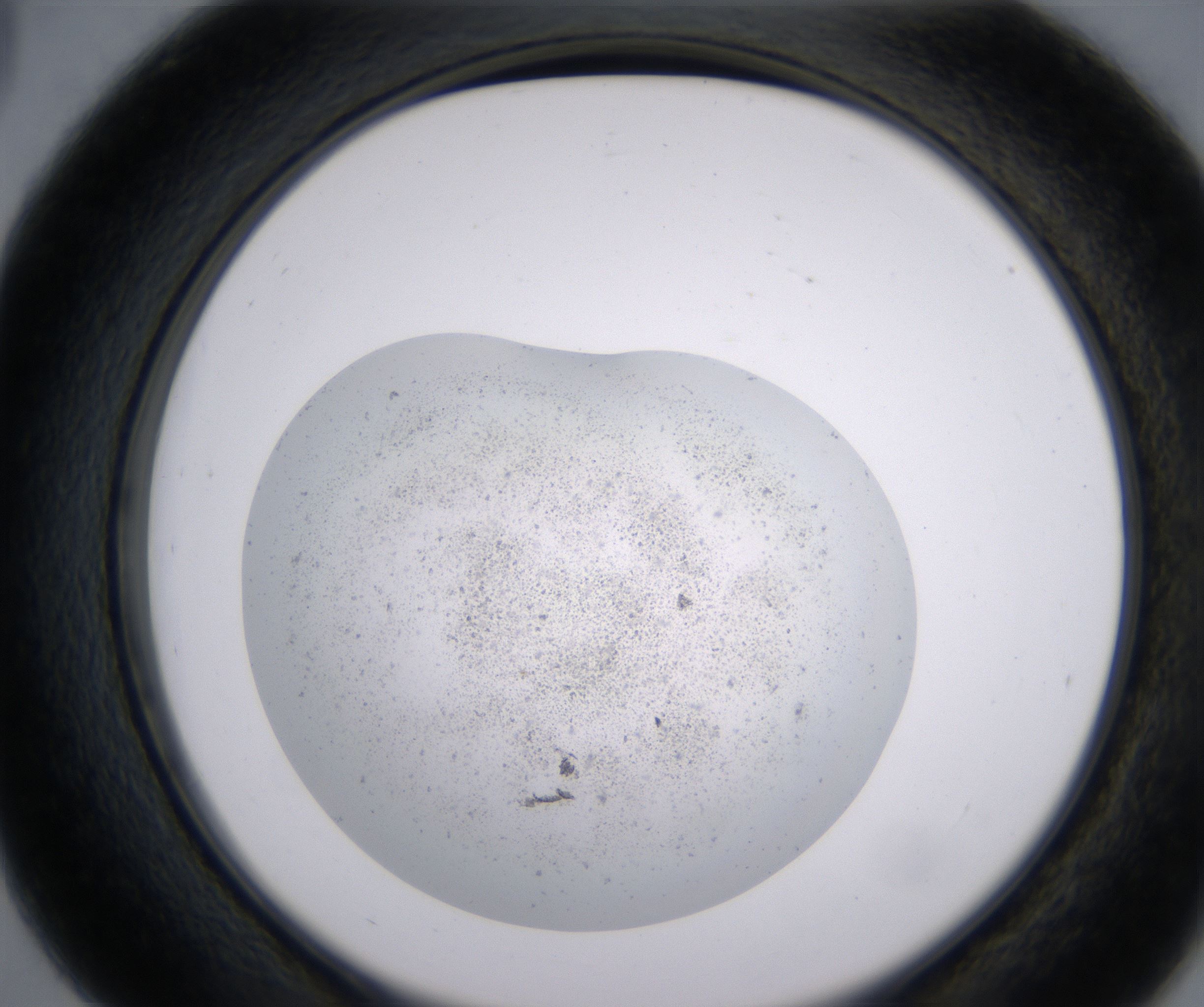 D3_HighResolution_Precipitate_2.jpg