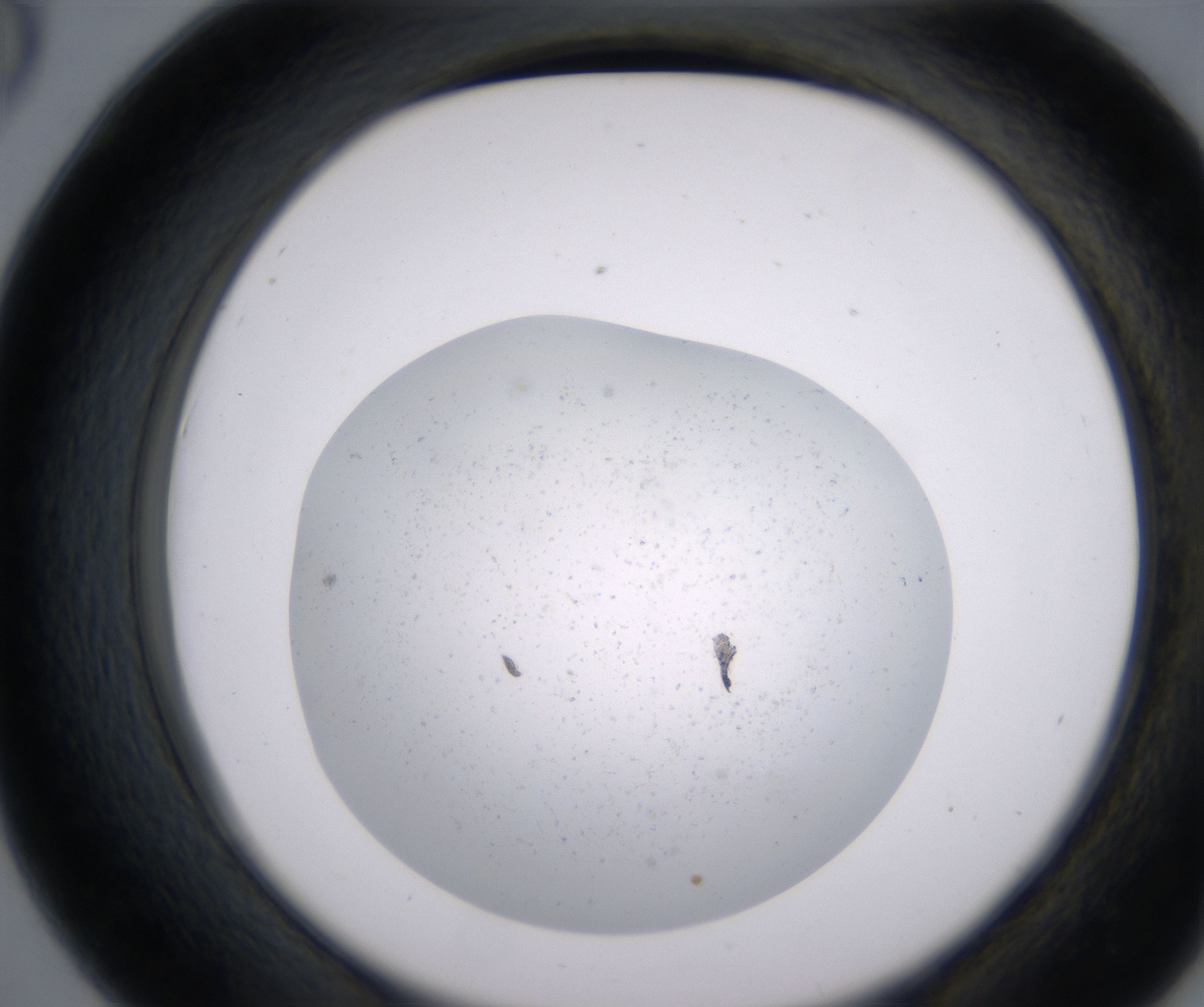 D6_HighResolution_Precipitate_2.jpg