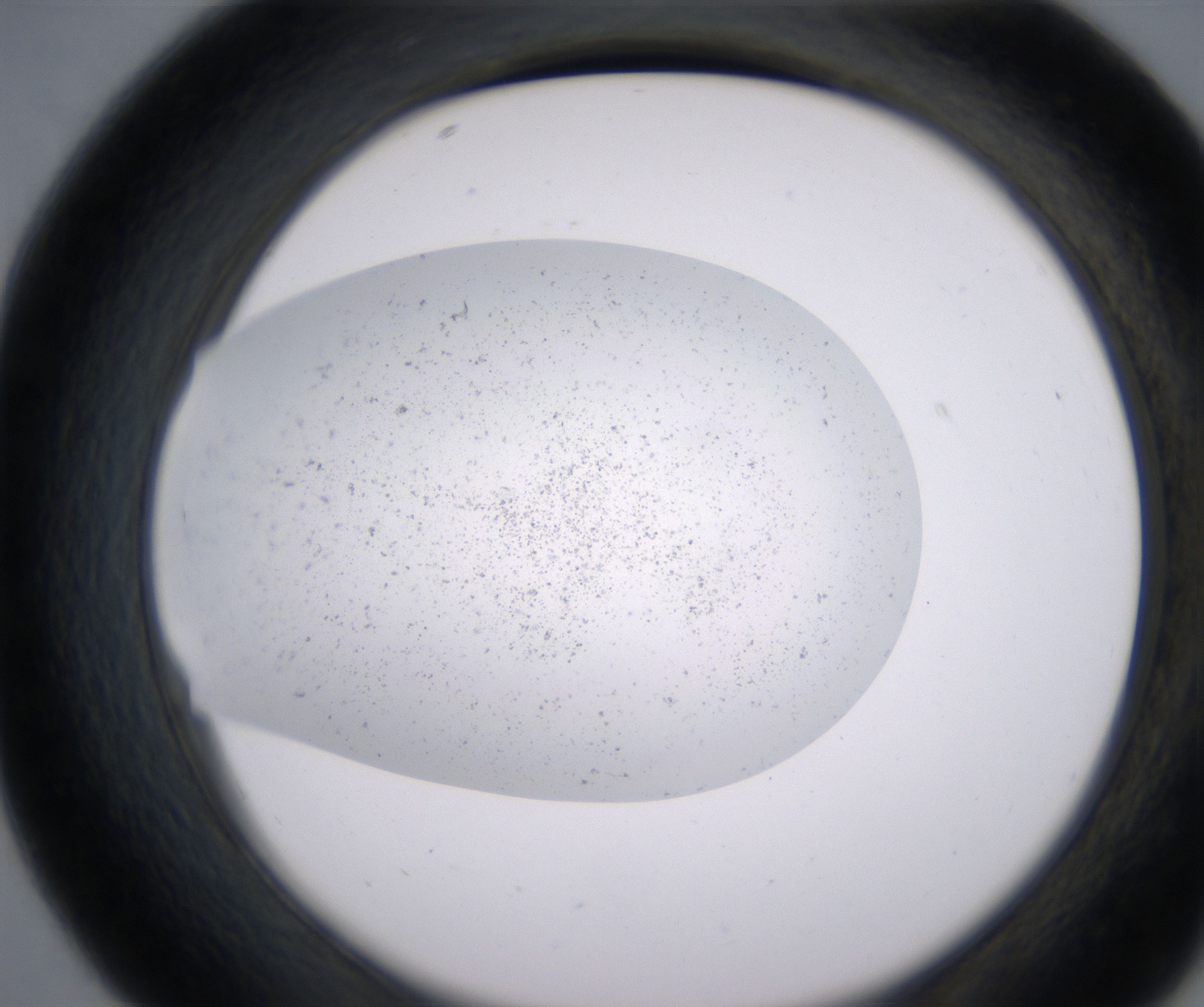 D7_HighResolution_Precipitate_2.jpg