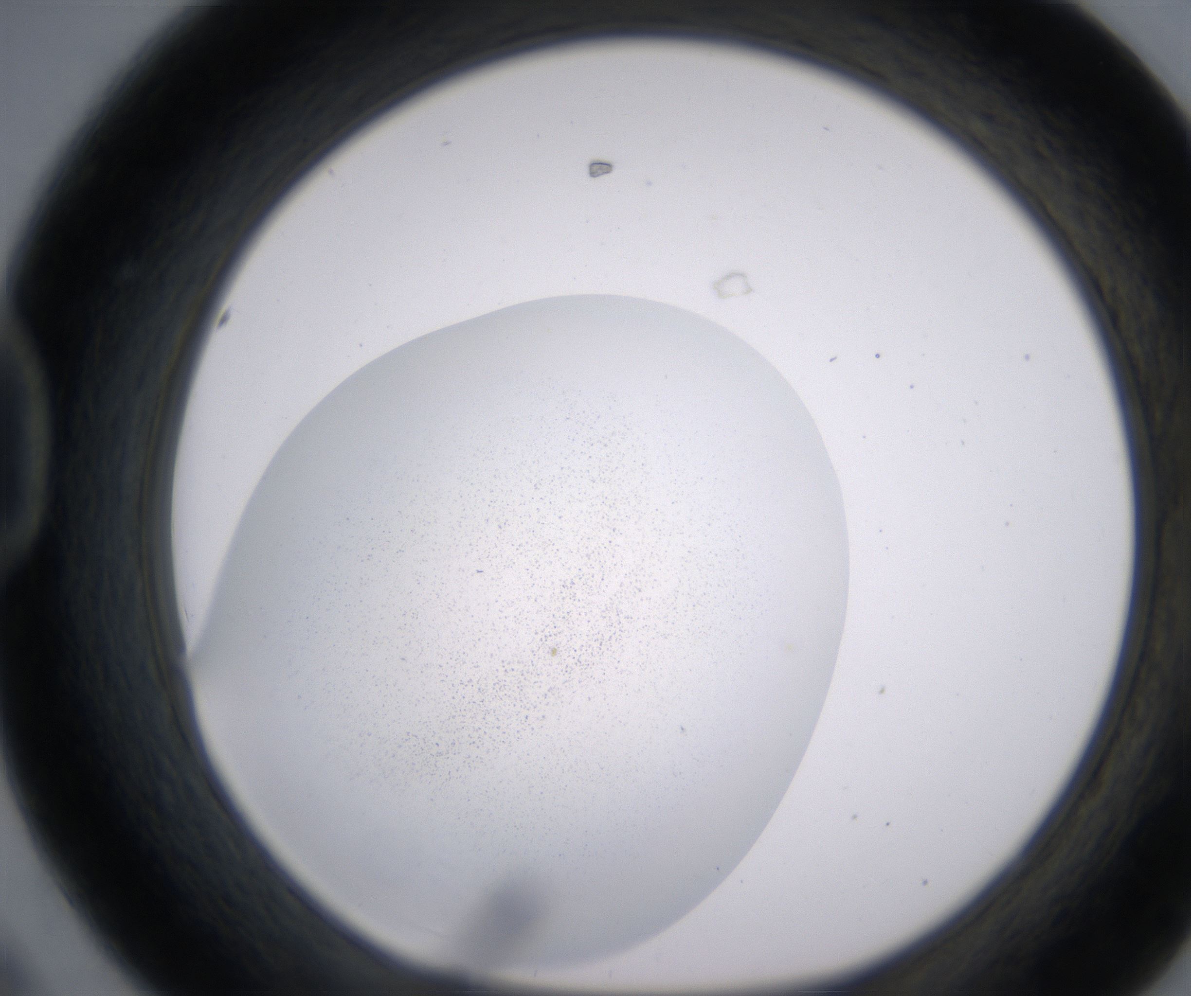 D8_HighResolution_Precipitate_1.jpg
