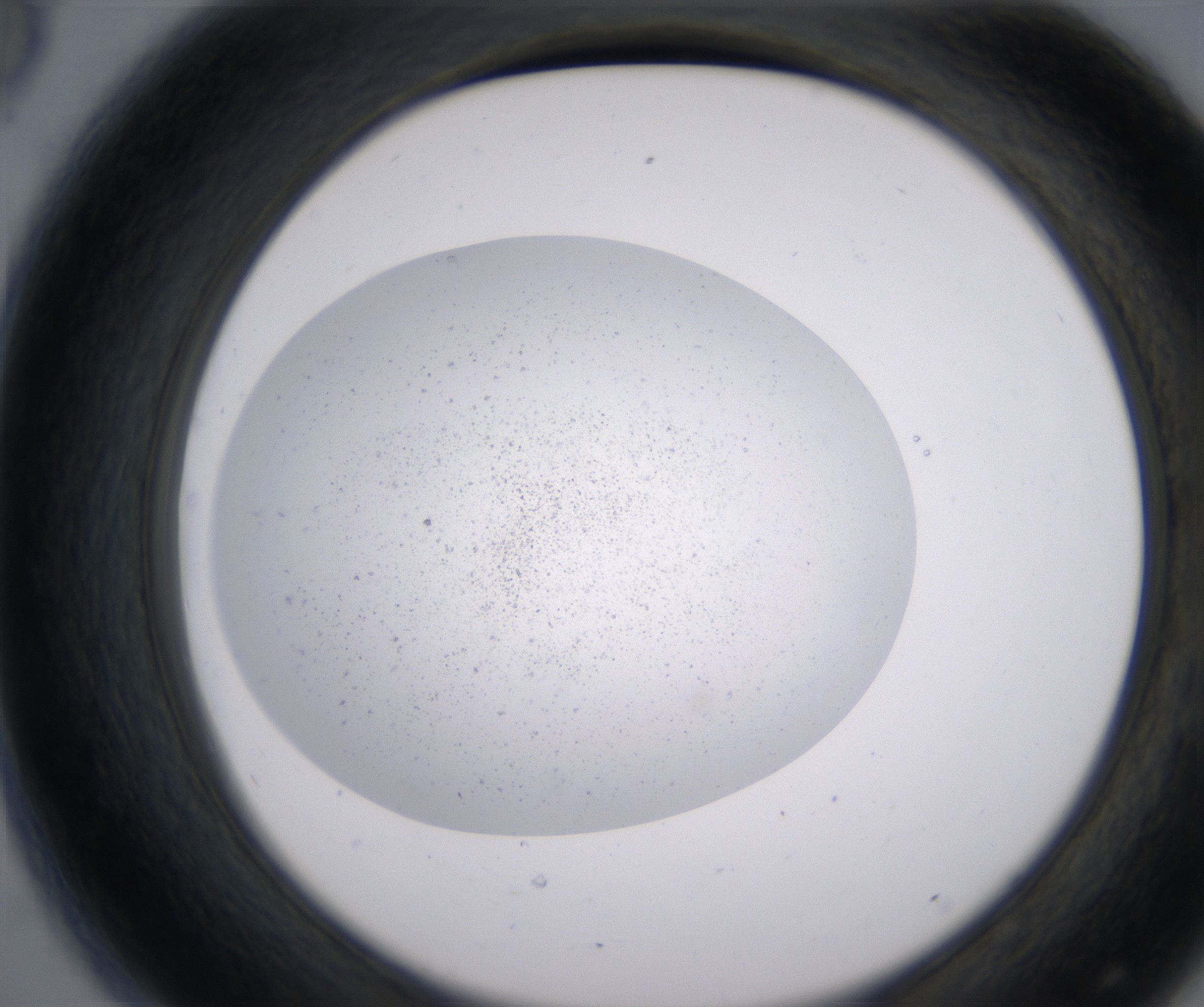 D8_HighResolution_Precipitate_2.jpg