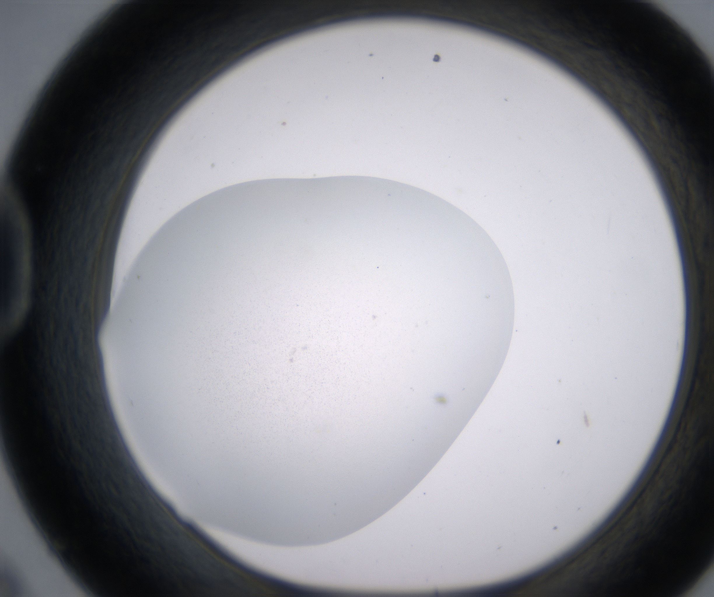 D9_HighResolution_Precipitate_1.jpg