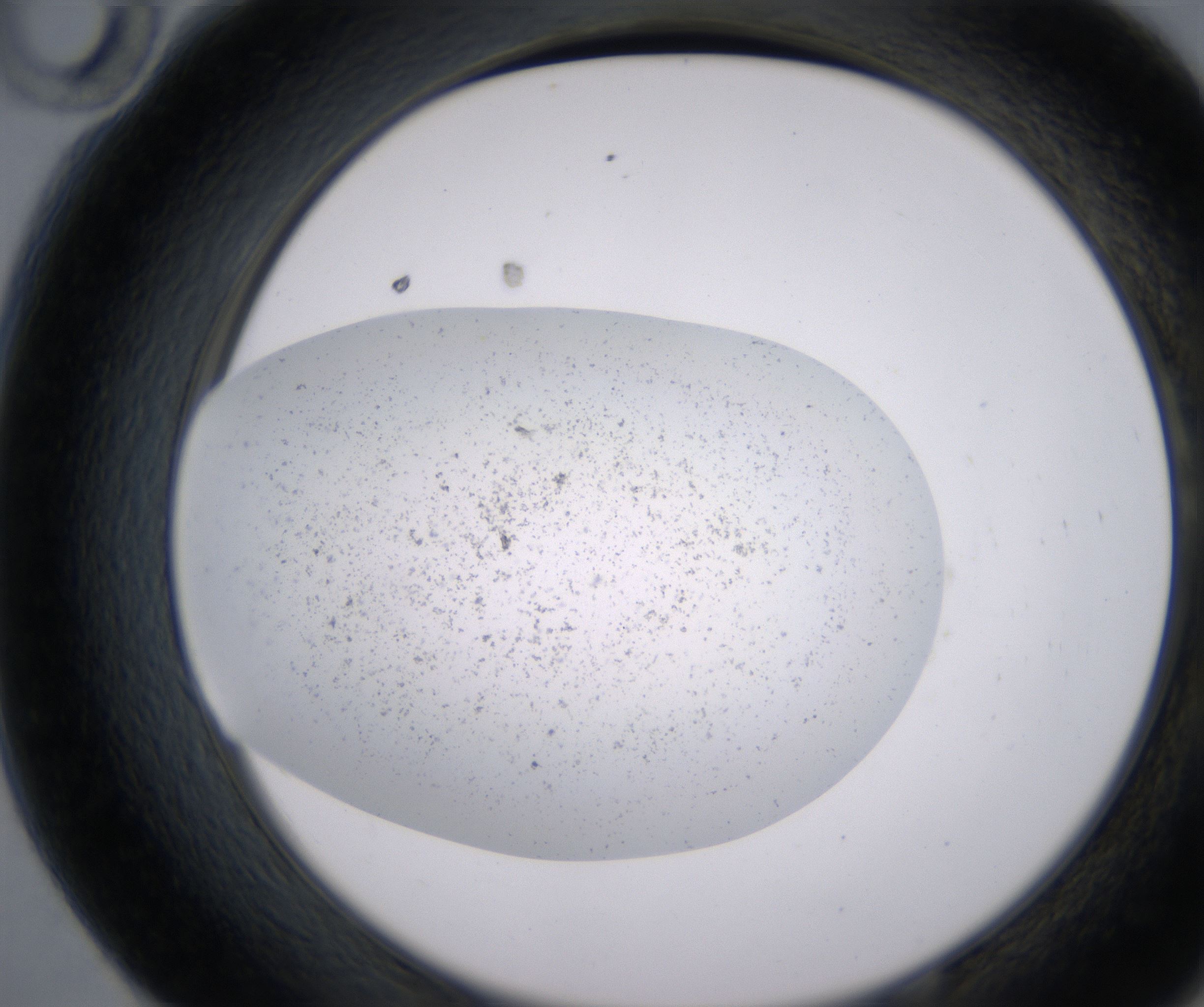 E10_HighResolution_Precipitate_2.jpg