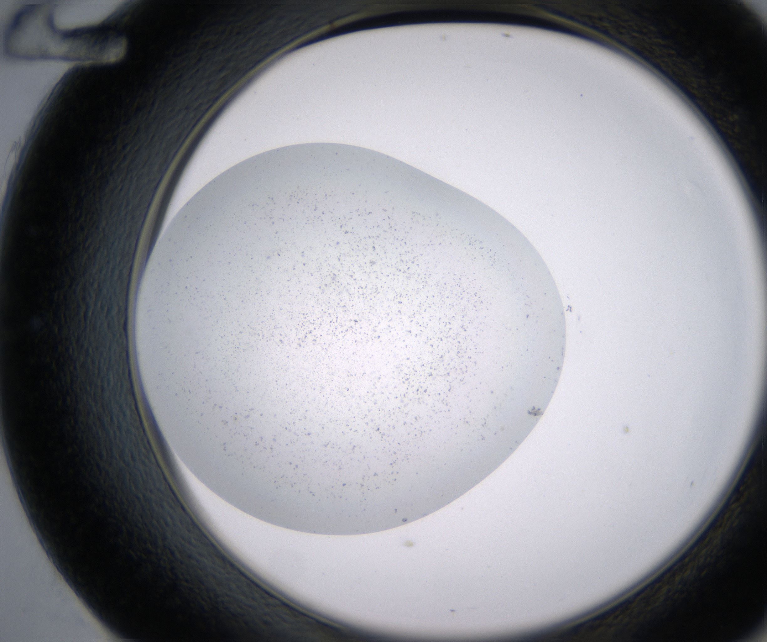 E12_HighResolution_Precipitate_2.jpg