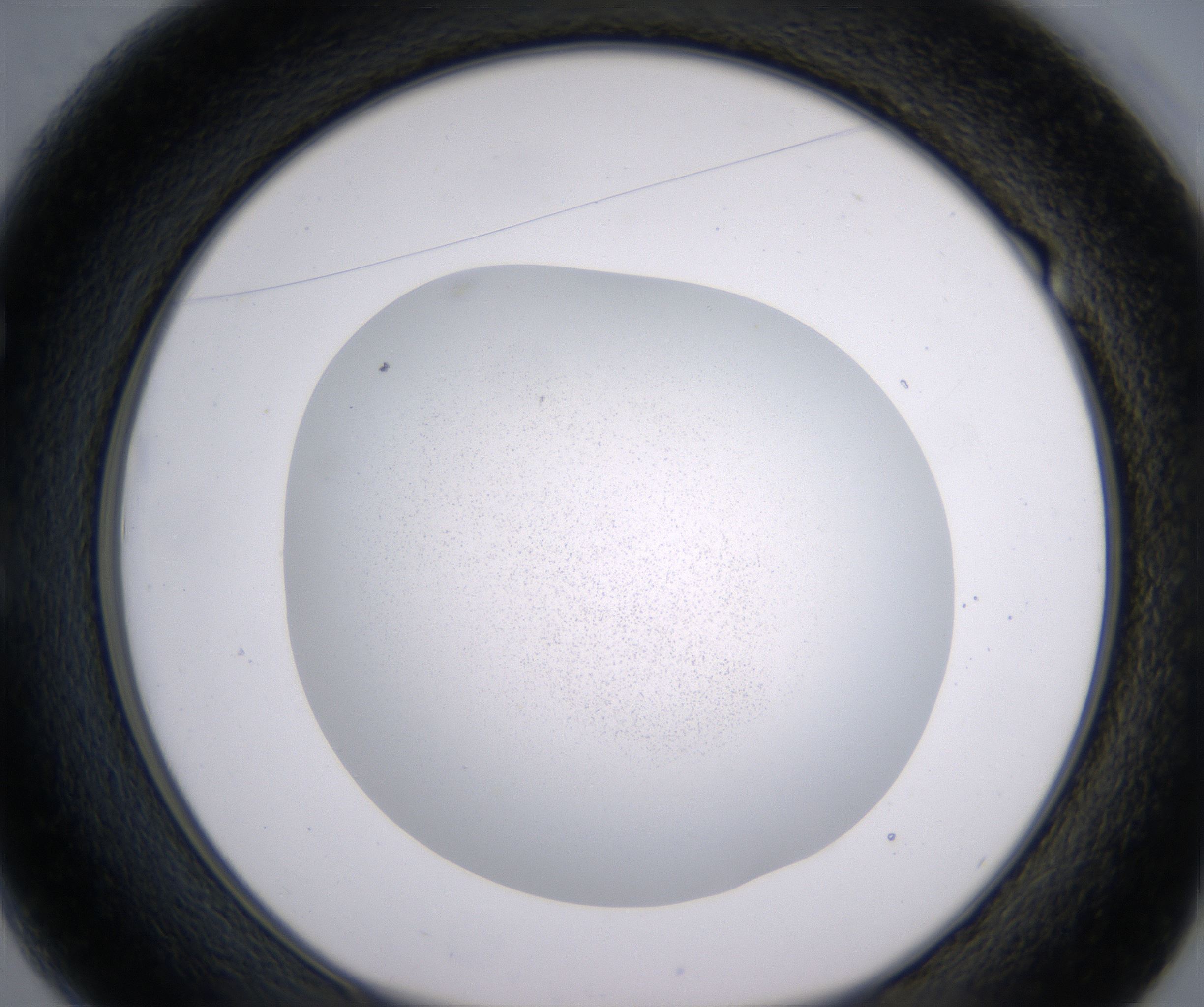 E1_HighResolution_Precipitate_1.jpg