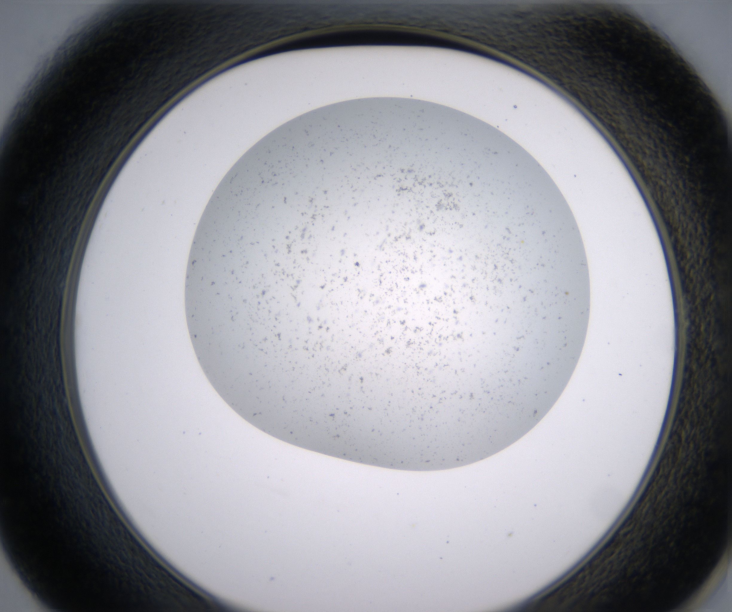 E1_HighResolution_Precipitate_2.jpg