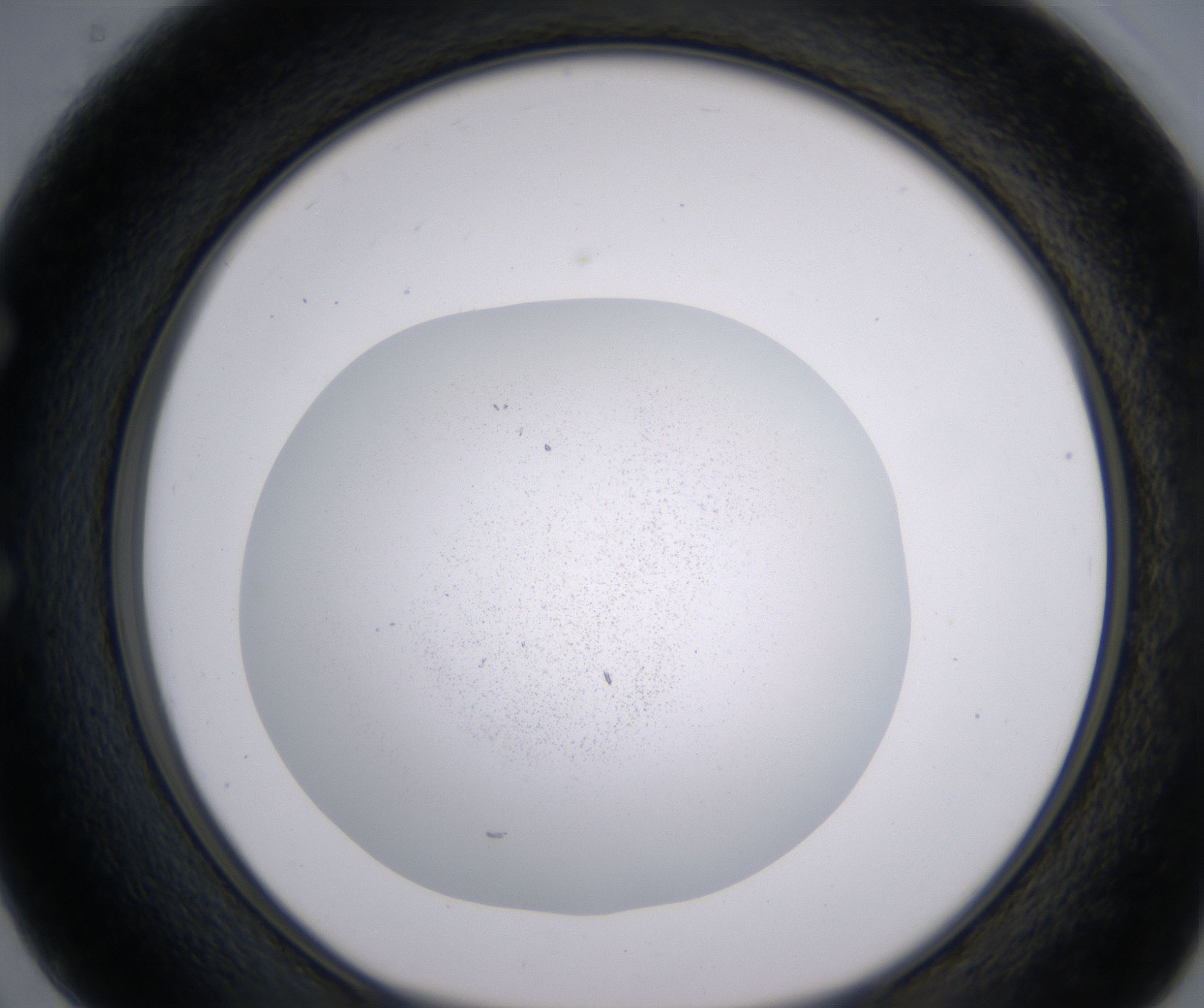 E2_HighResolution_Precipitate_1.jpg