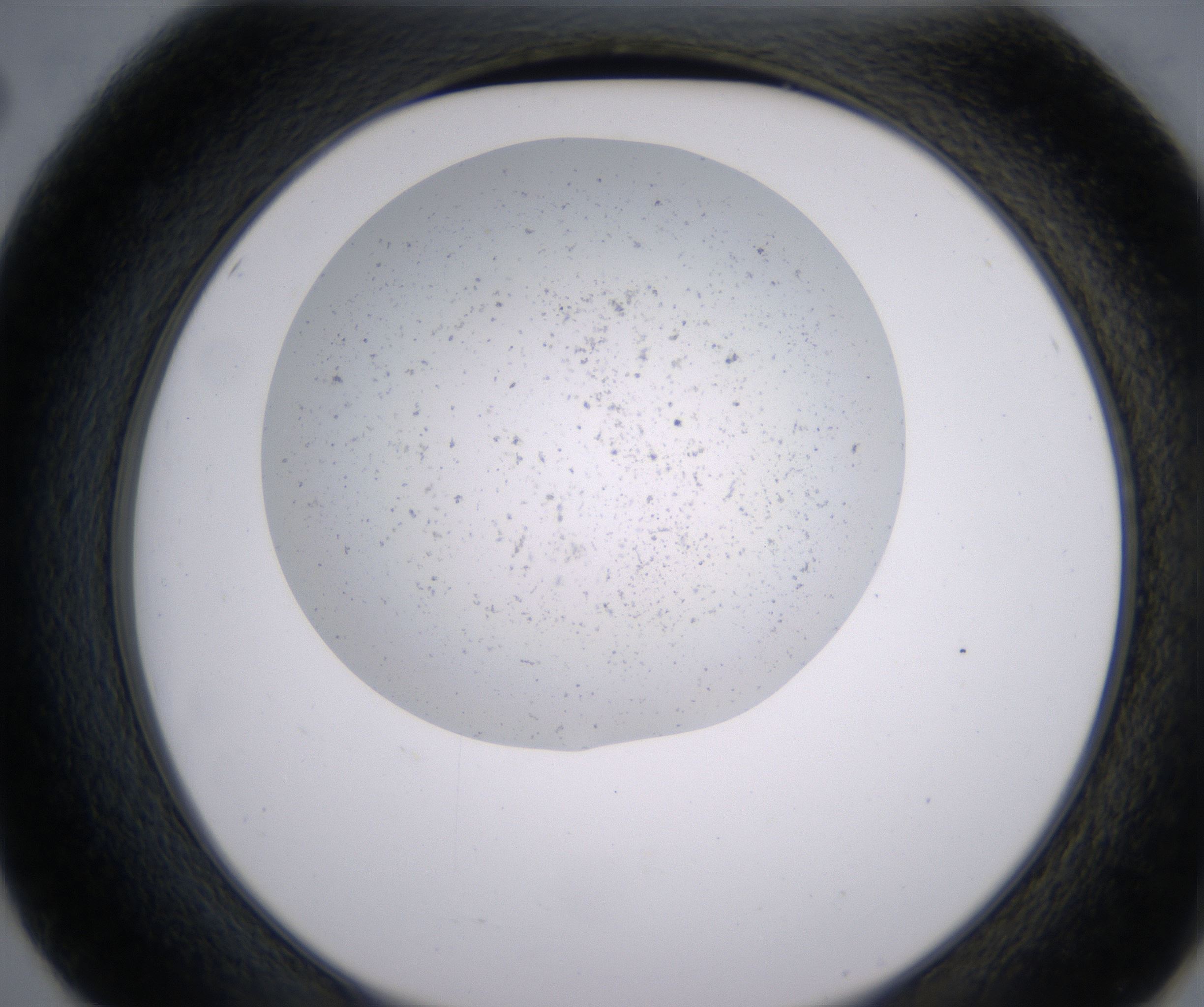E2_HighResolution_Precipitate_2.jpg