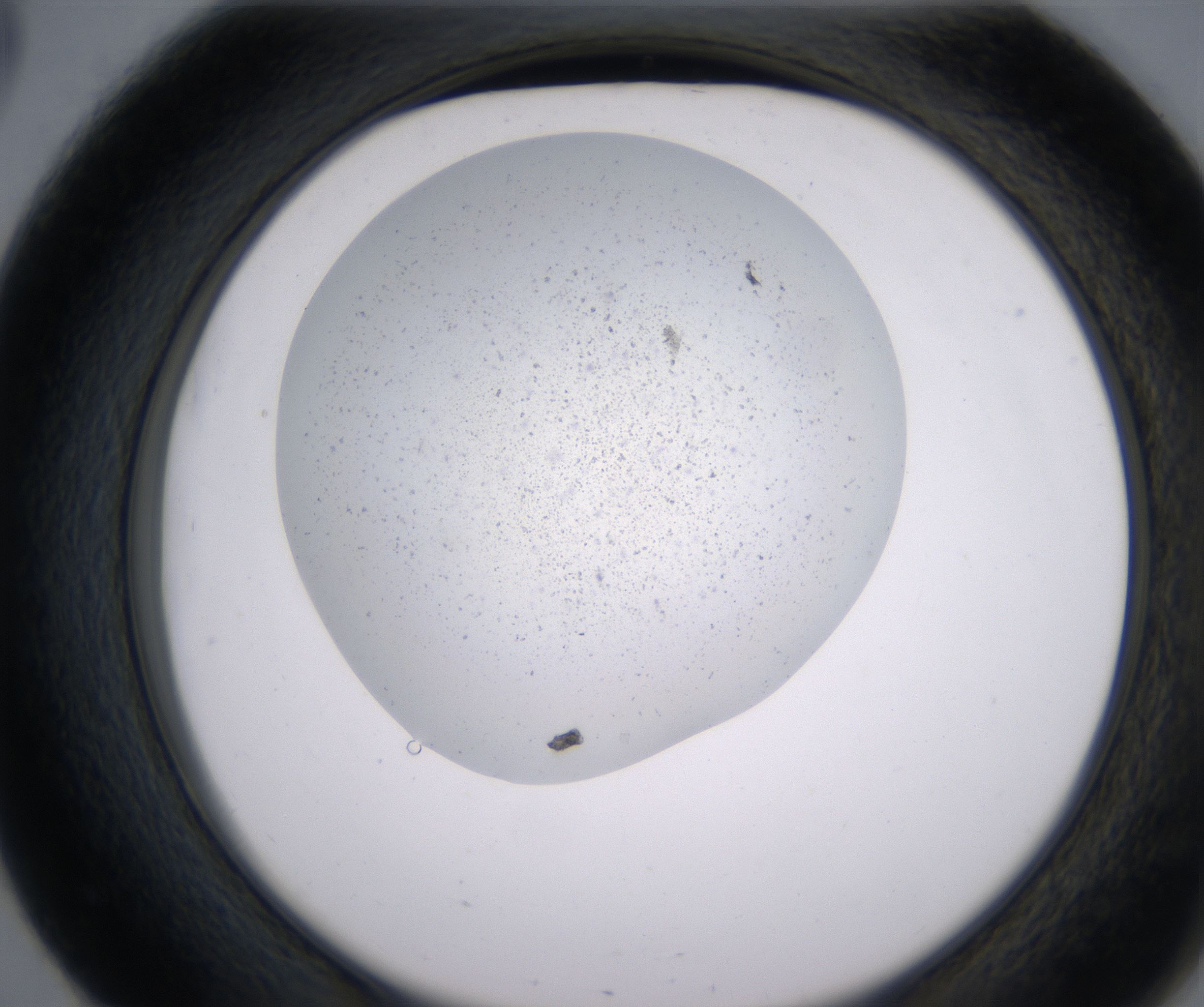 E3_HighResolution_Precipitate_2.jpg