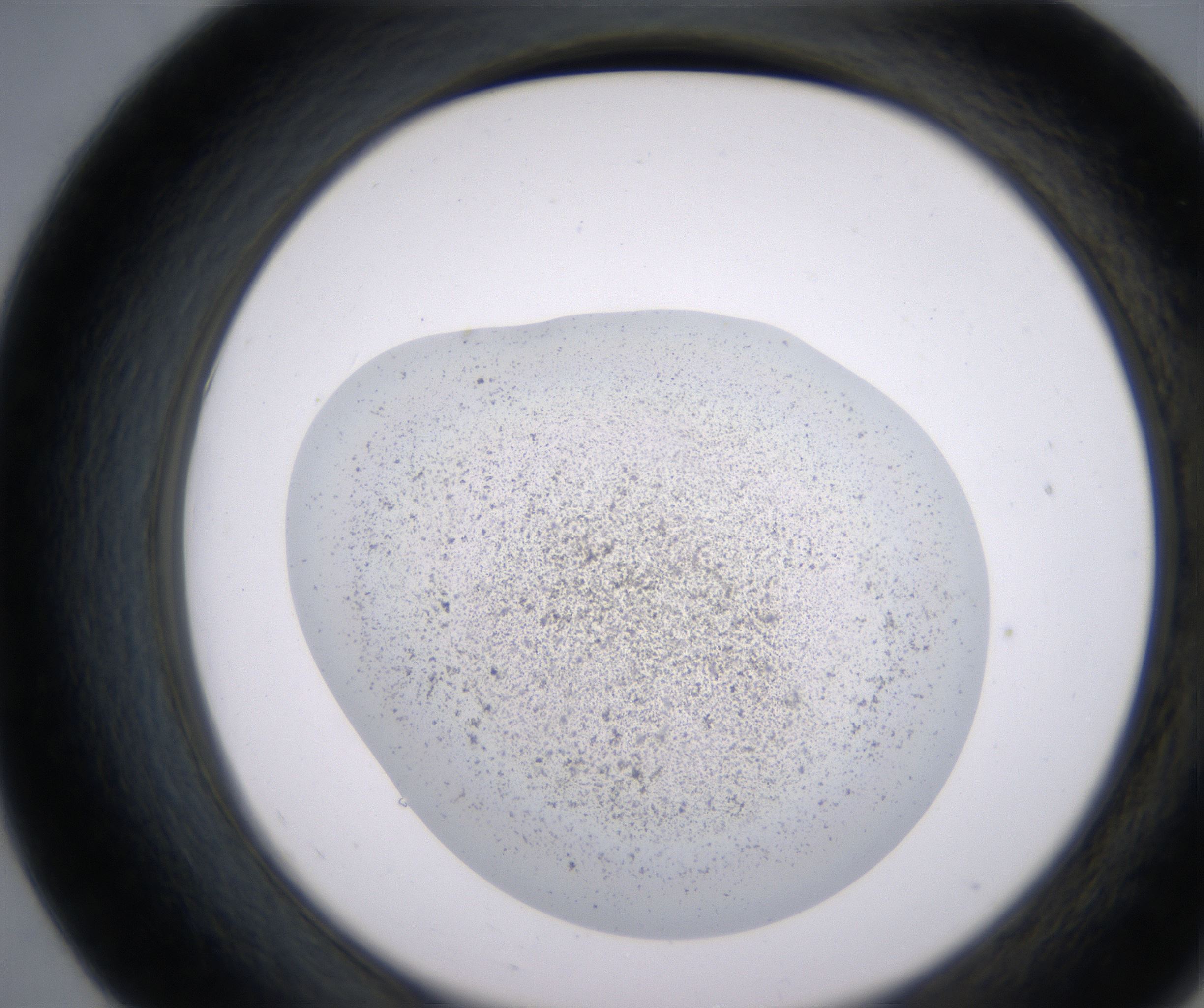 E7_HighResolution_Precipitate_2.jpg