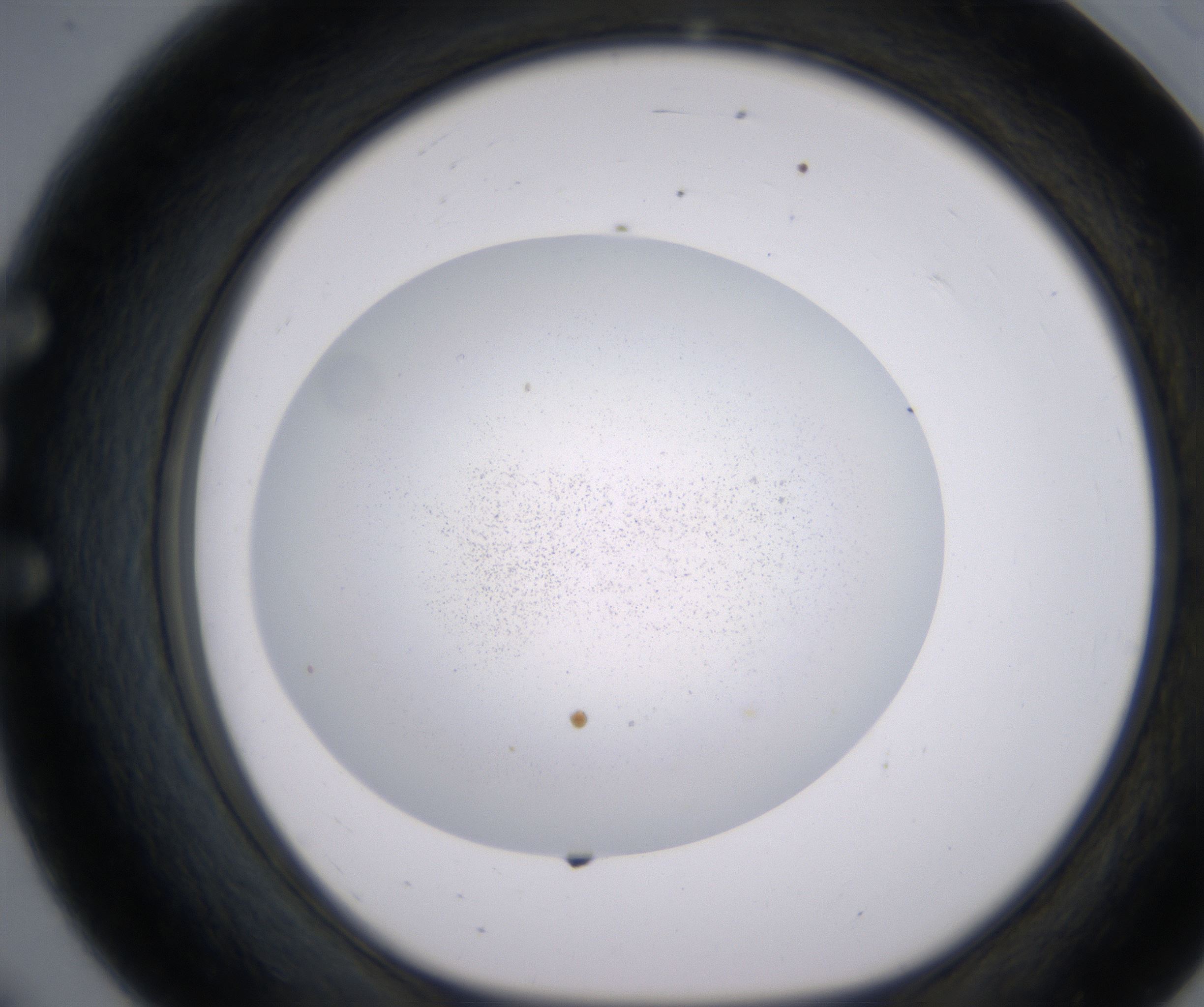 E8_HighResolution_Precipitate_1.jpg