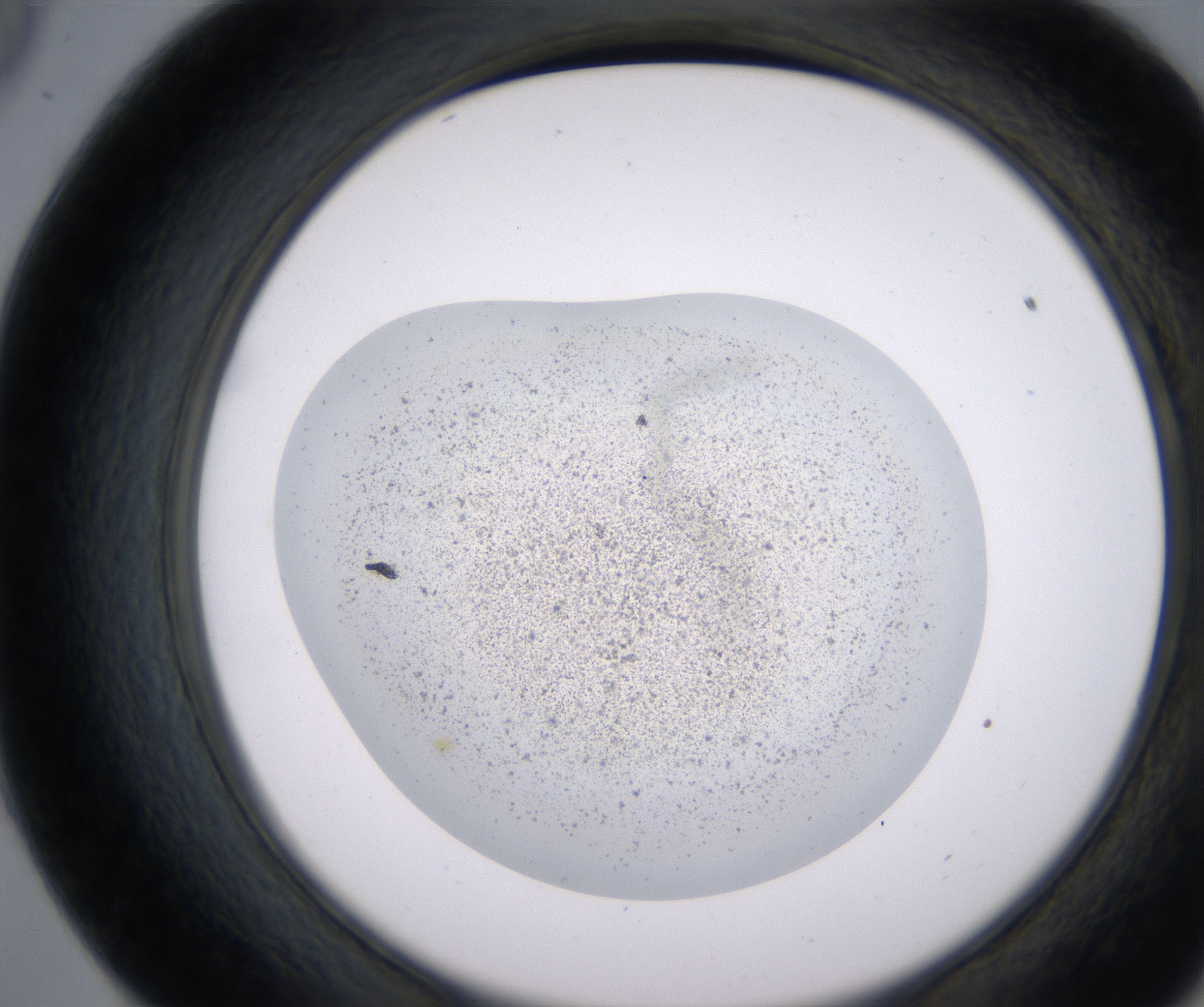 E9_HighResolution_Precipitate_2.jpg