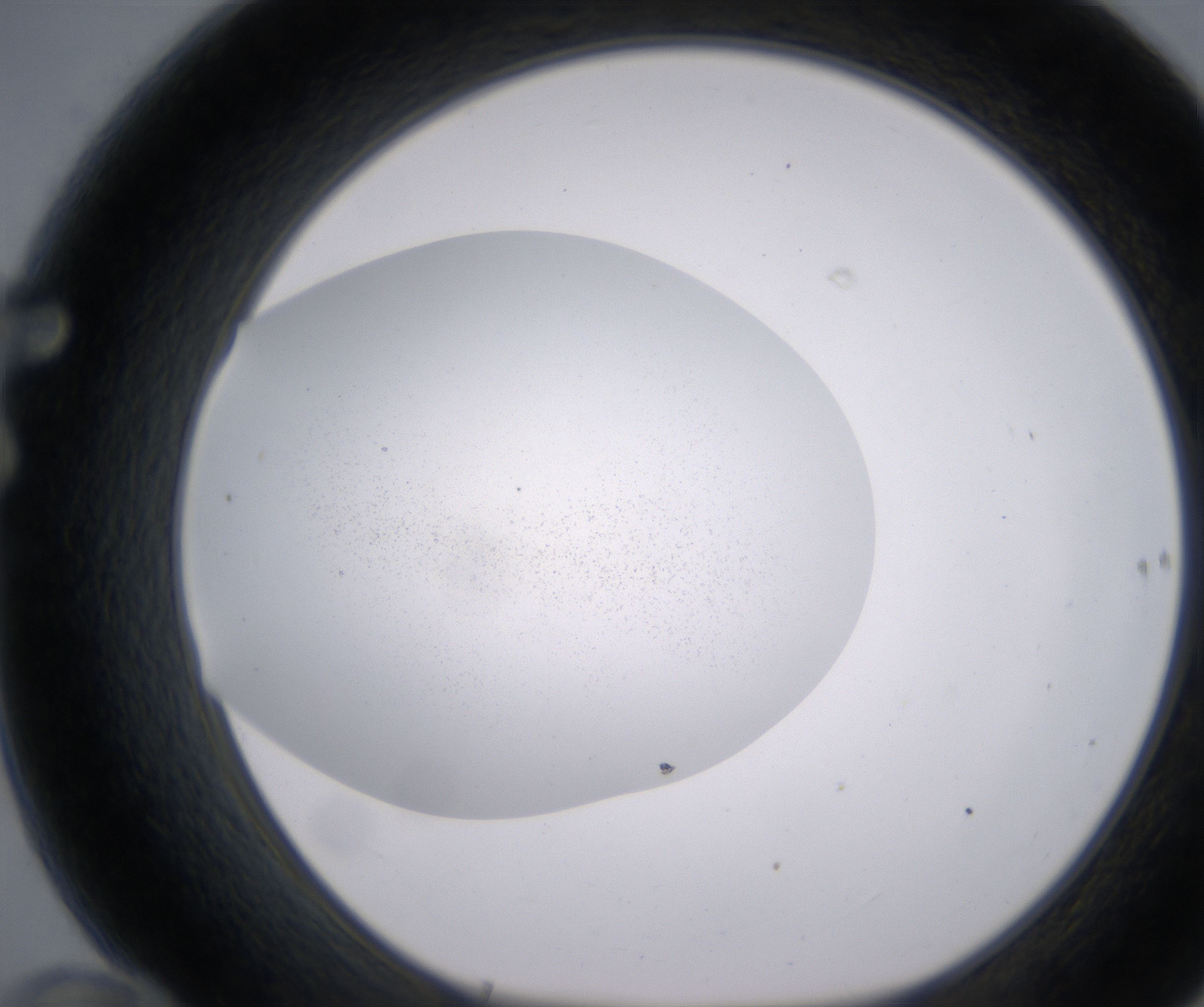 F10_HighResolution_Precipitate_1.jpg