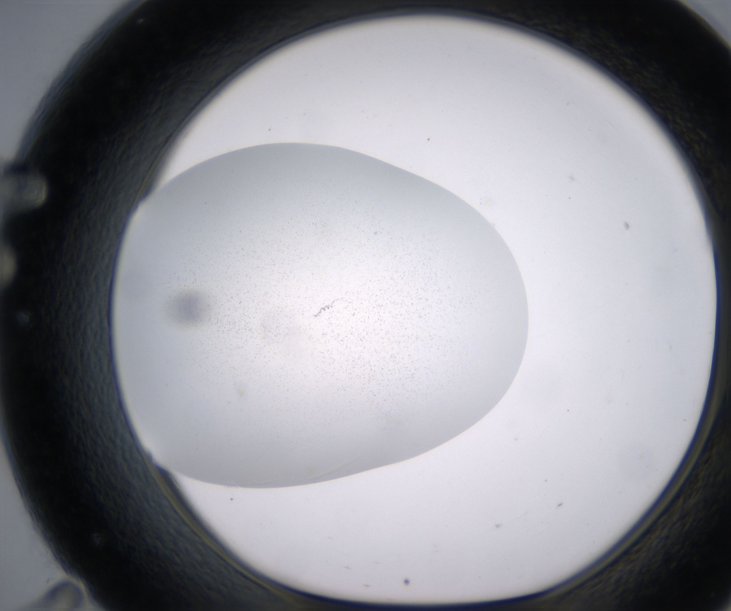 F11_HighResolution_Precipitate_1.jpg