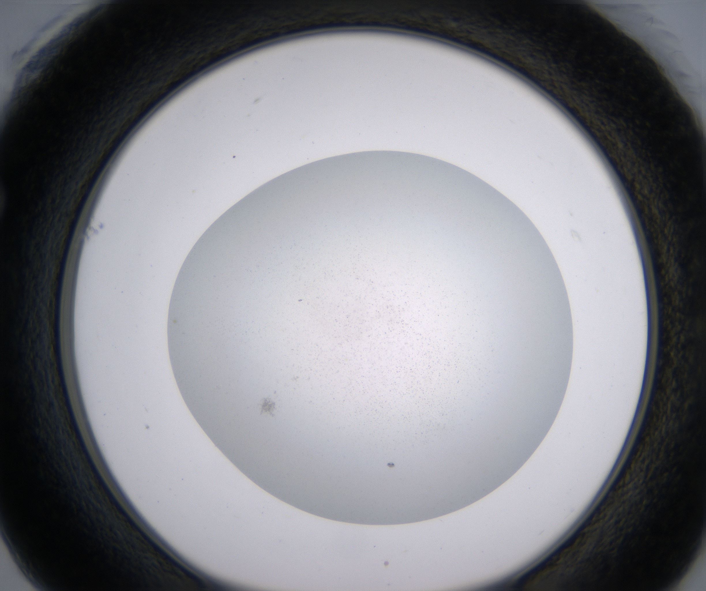 F1_HighResolution_Precipitate_1.jpg