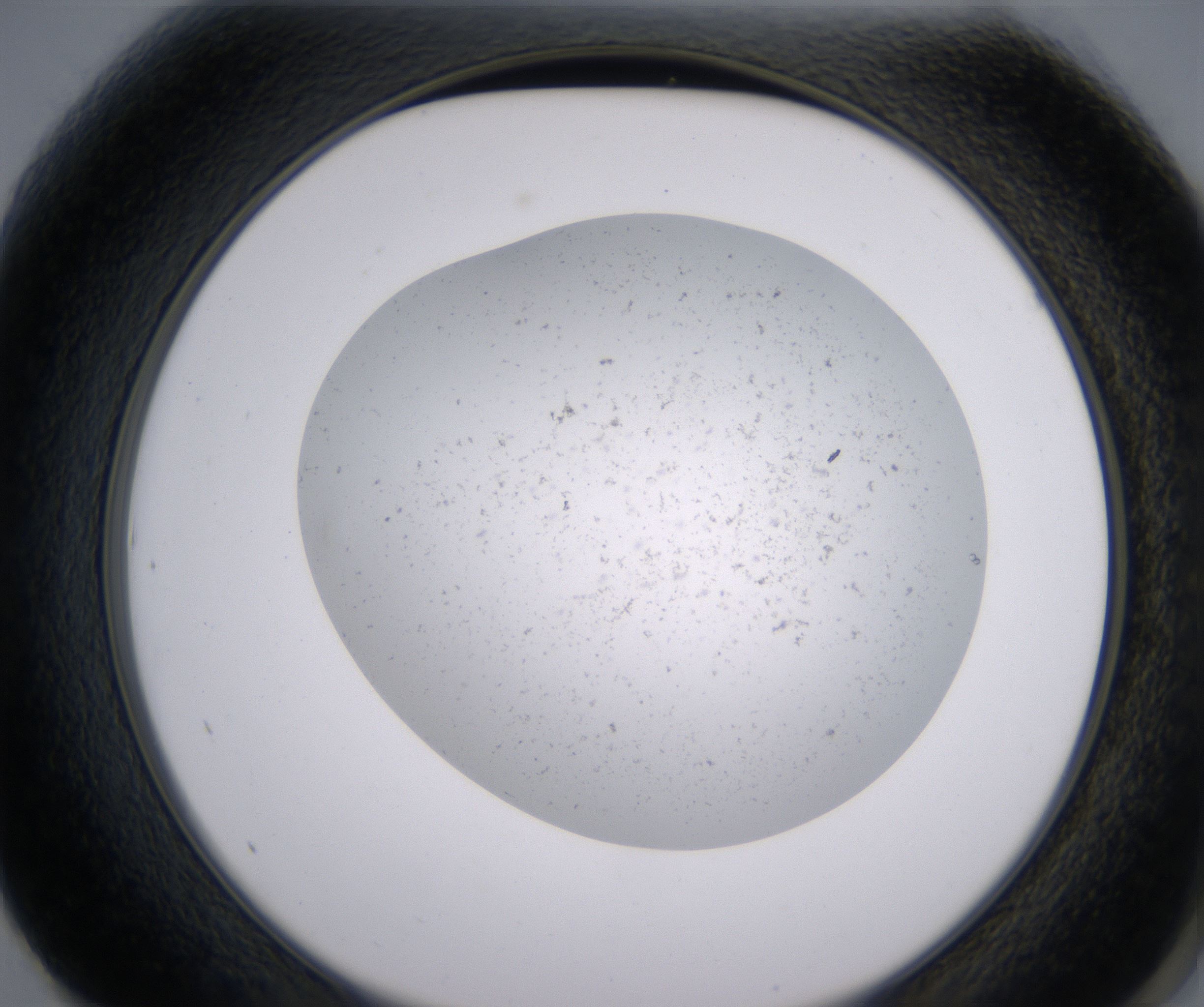 F1_HighResolution_Precipitate_2.jpg