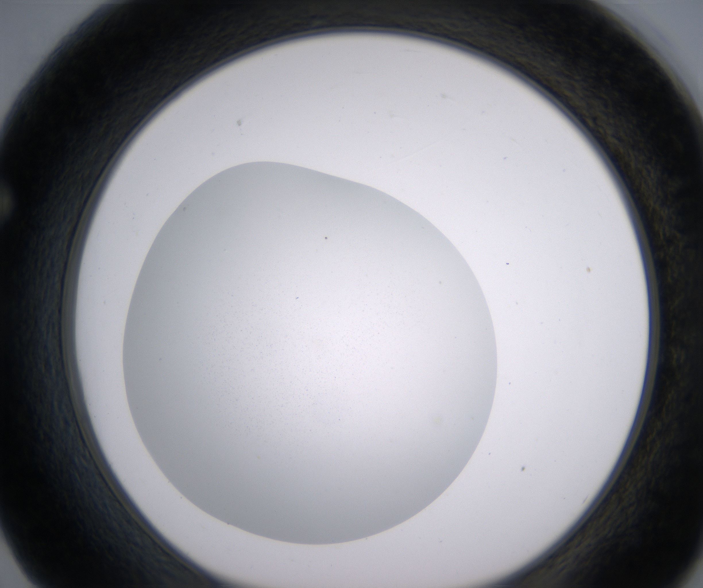 F2_HighResolution_Precipitate_1.jpg