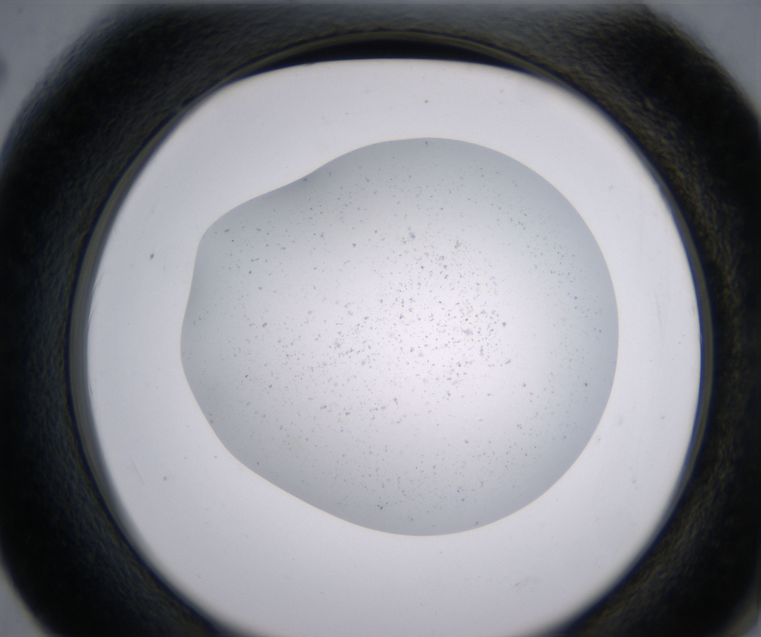F2_HighResolution_Precipitate_2.jpg