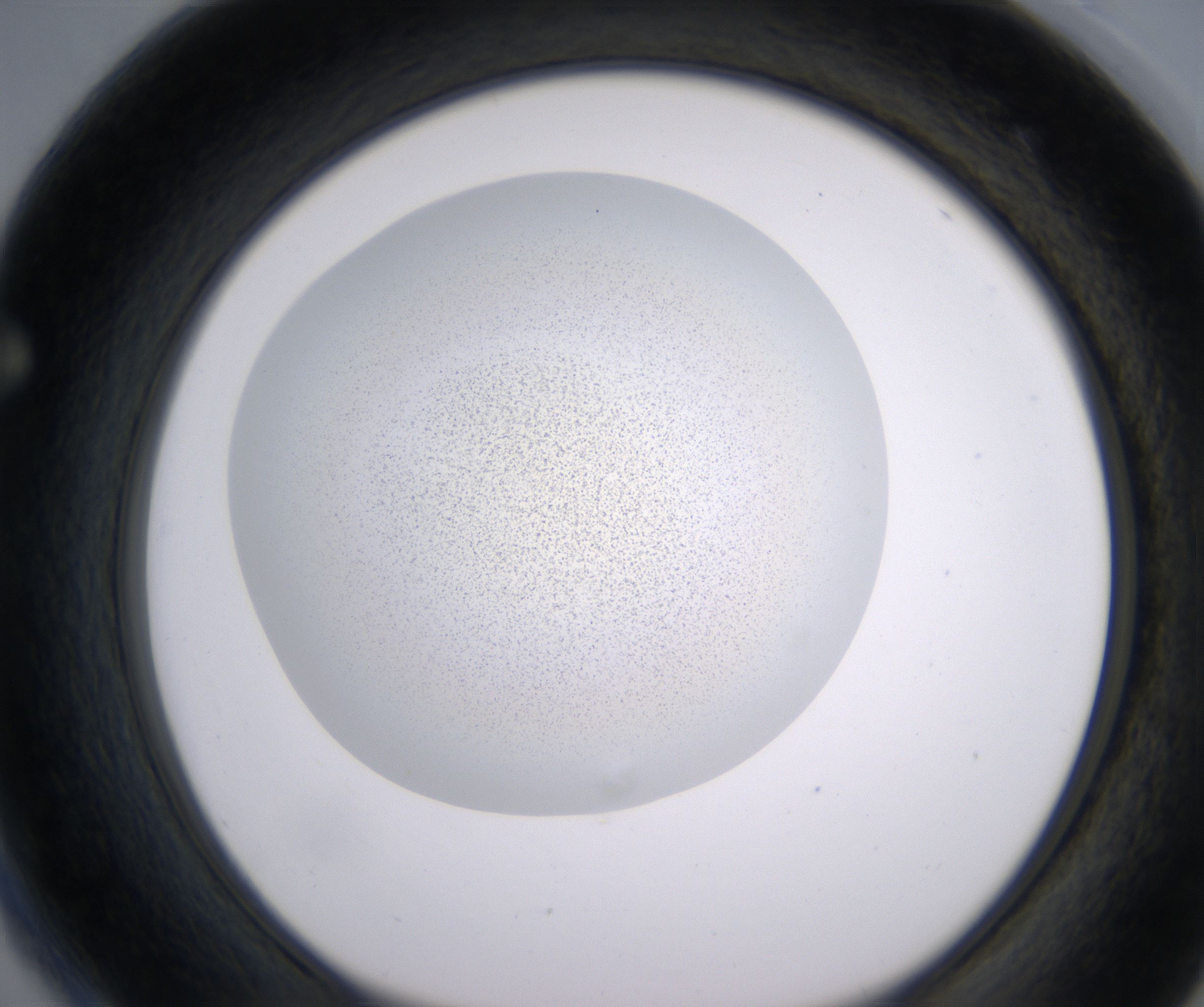 F4_HighResolution_Precipitate_1.jpg