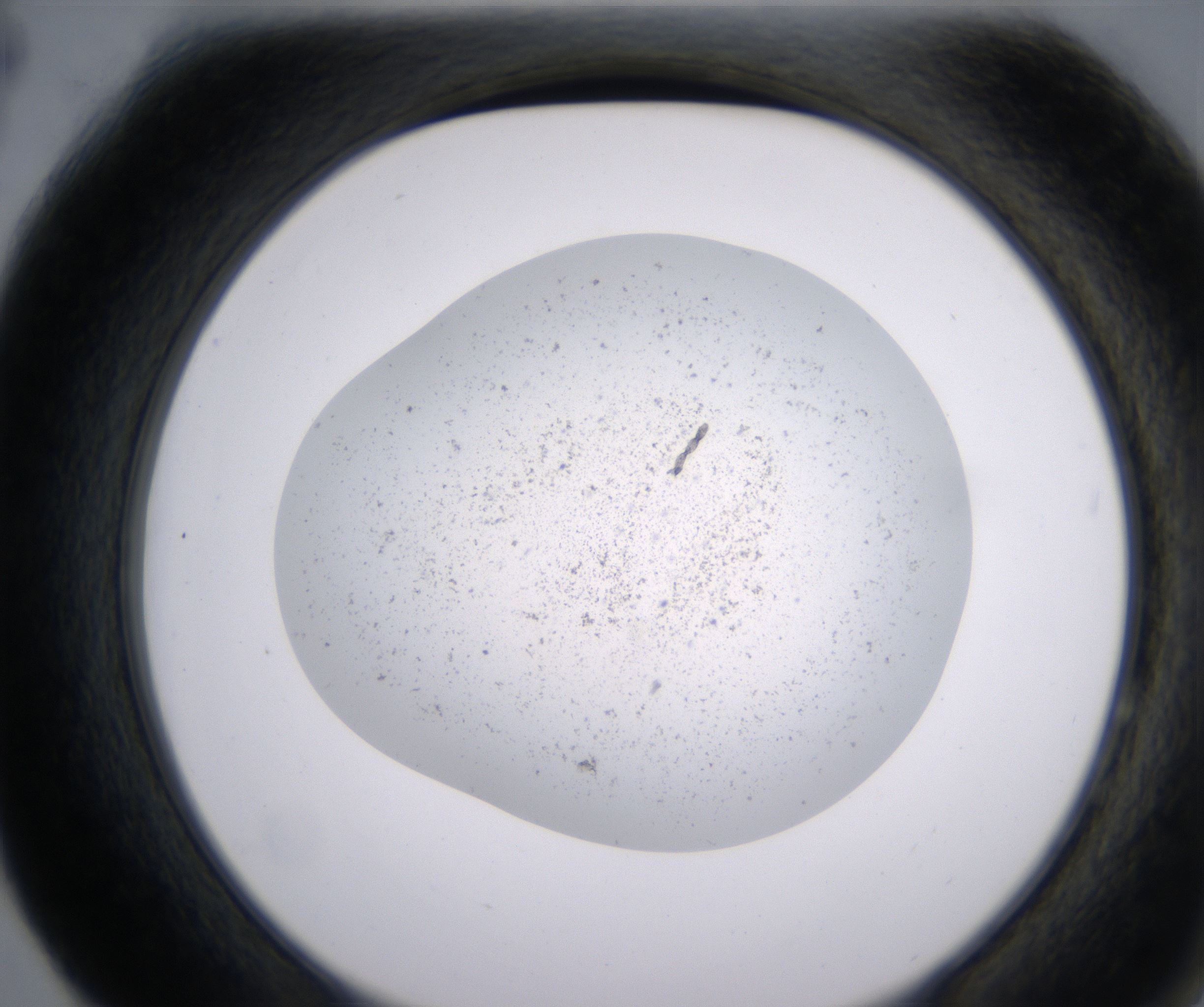 F4_HighResolution_Precipitate_2.jpg