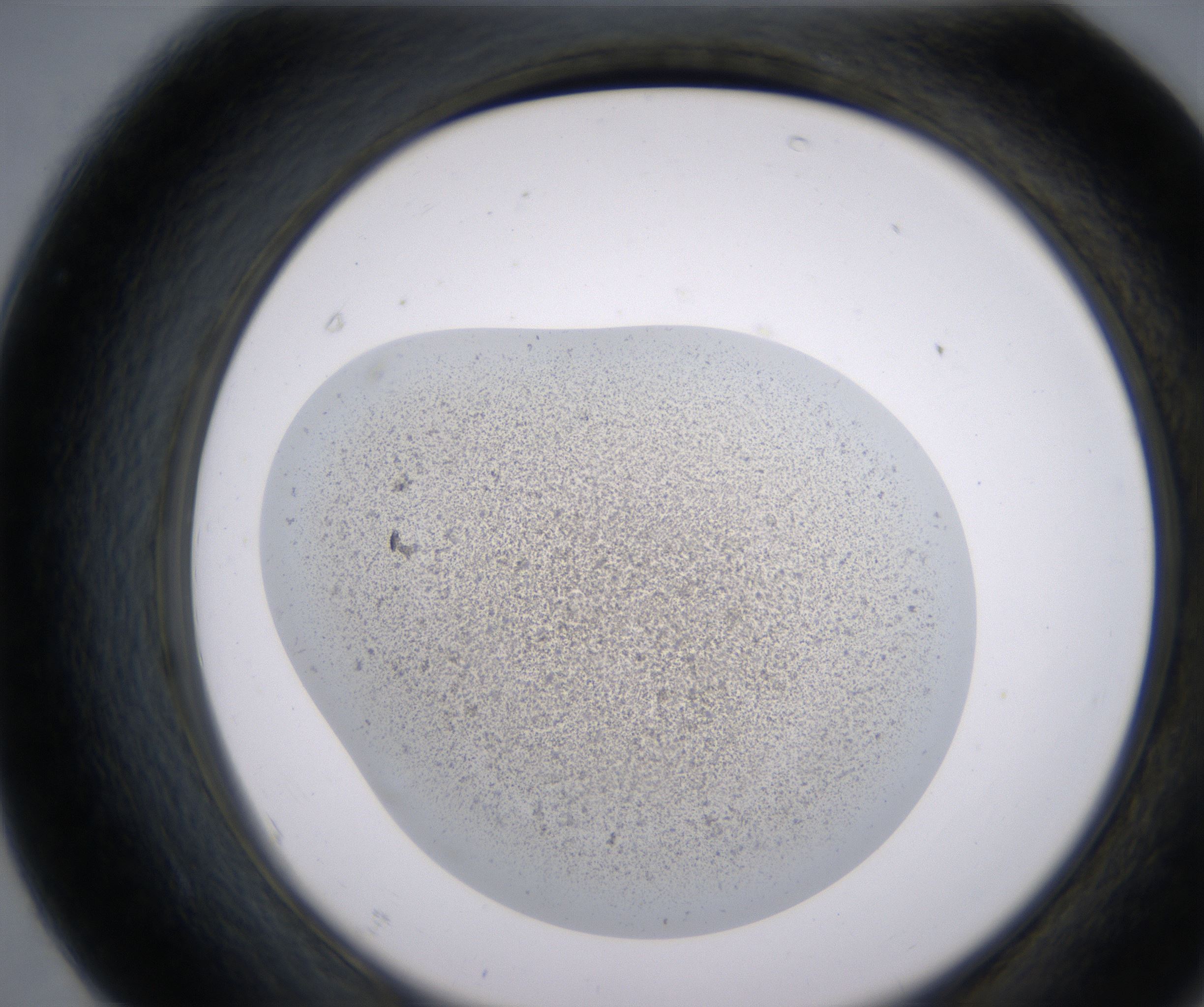 F7_HighResolution_Precipitate_2.jpg