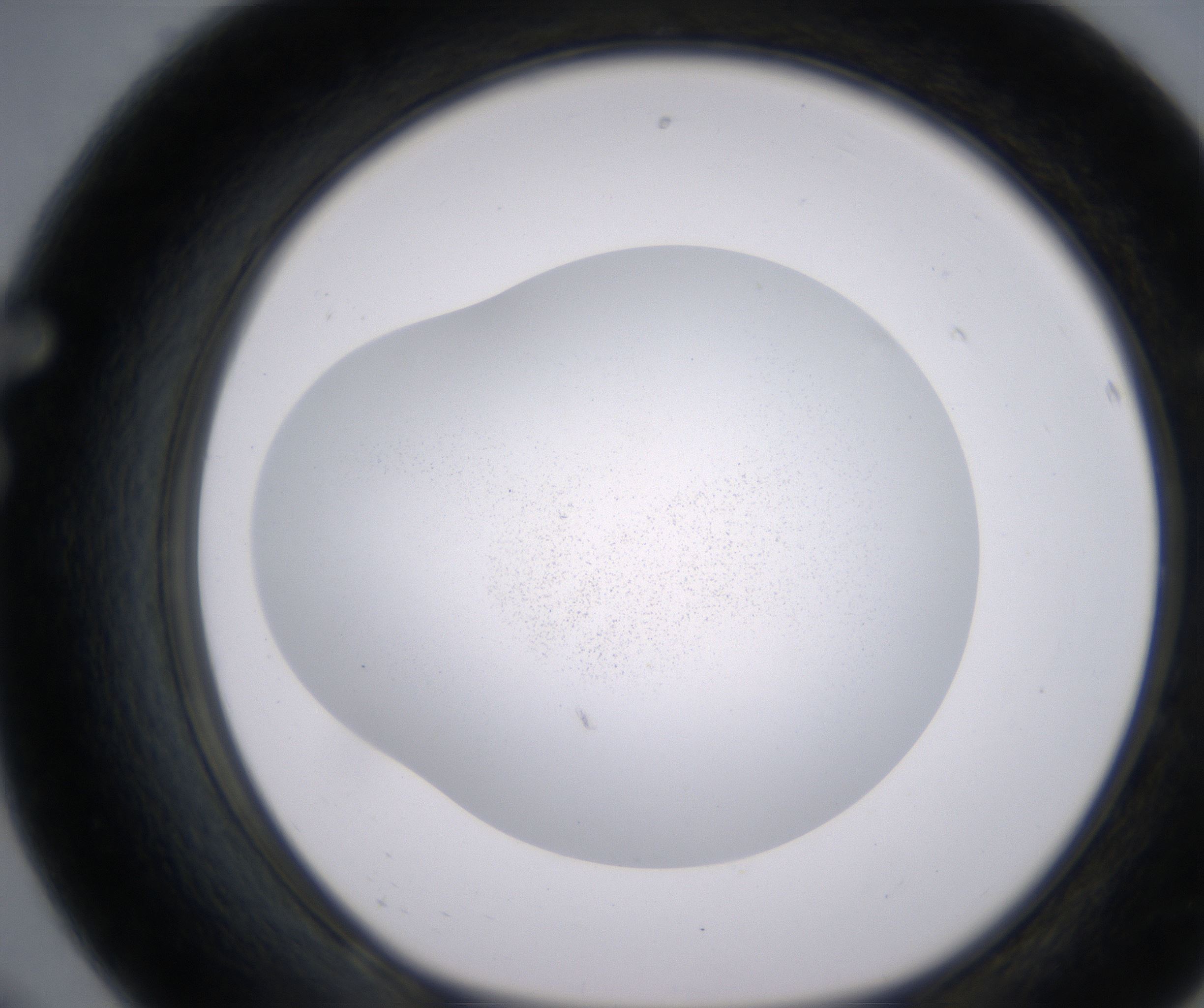 F8_HighResolution_Precipitate_1.jpg