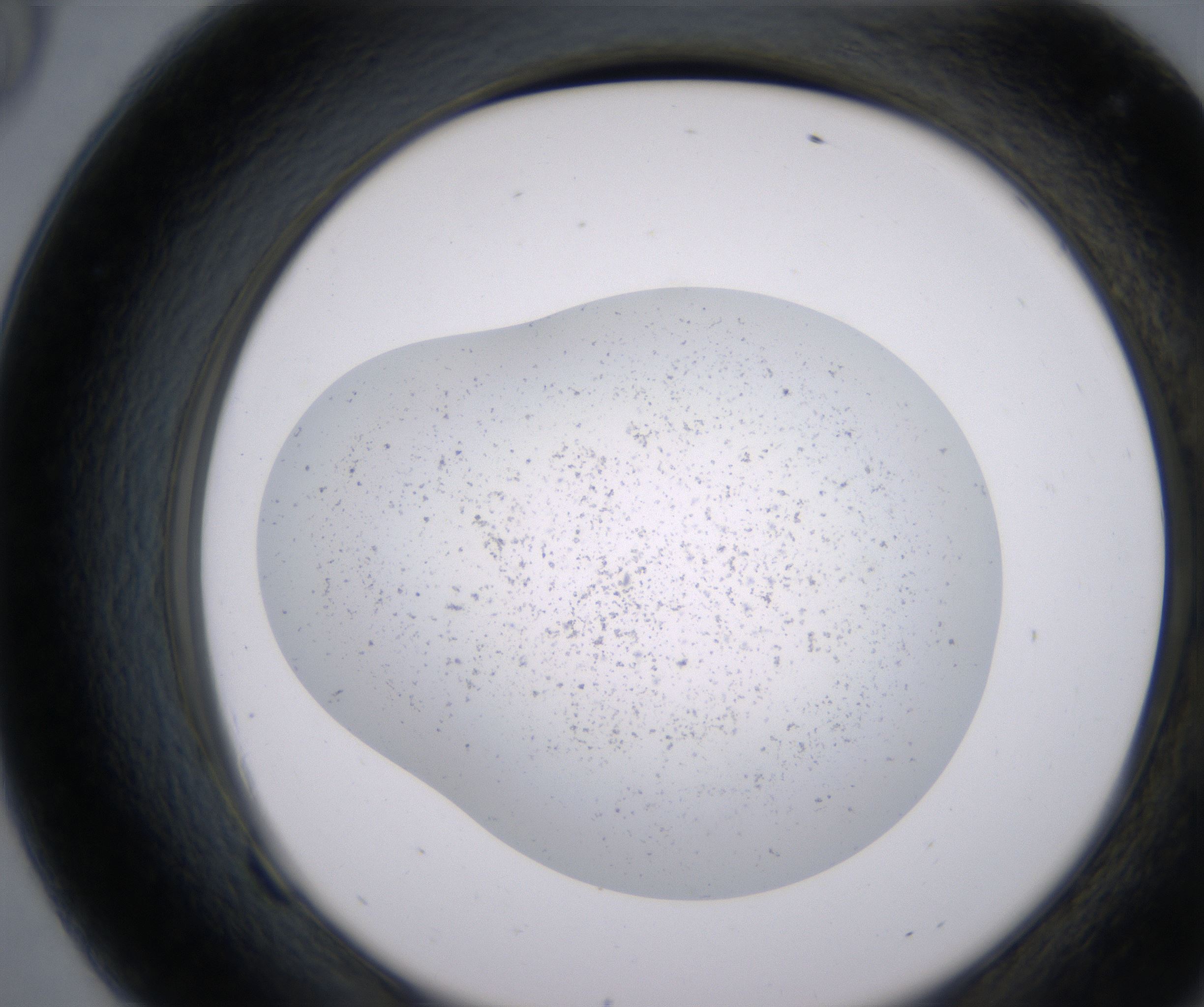 F9_HighResolution_Precipitate_2.jpg