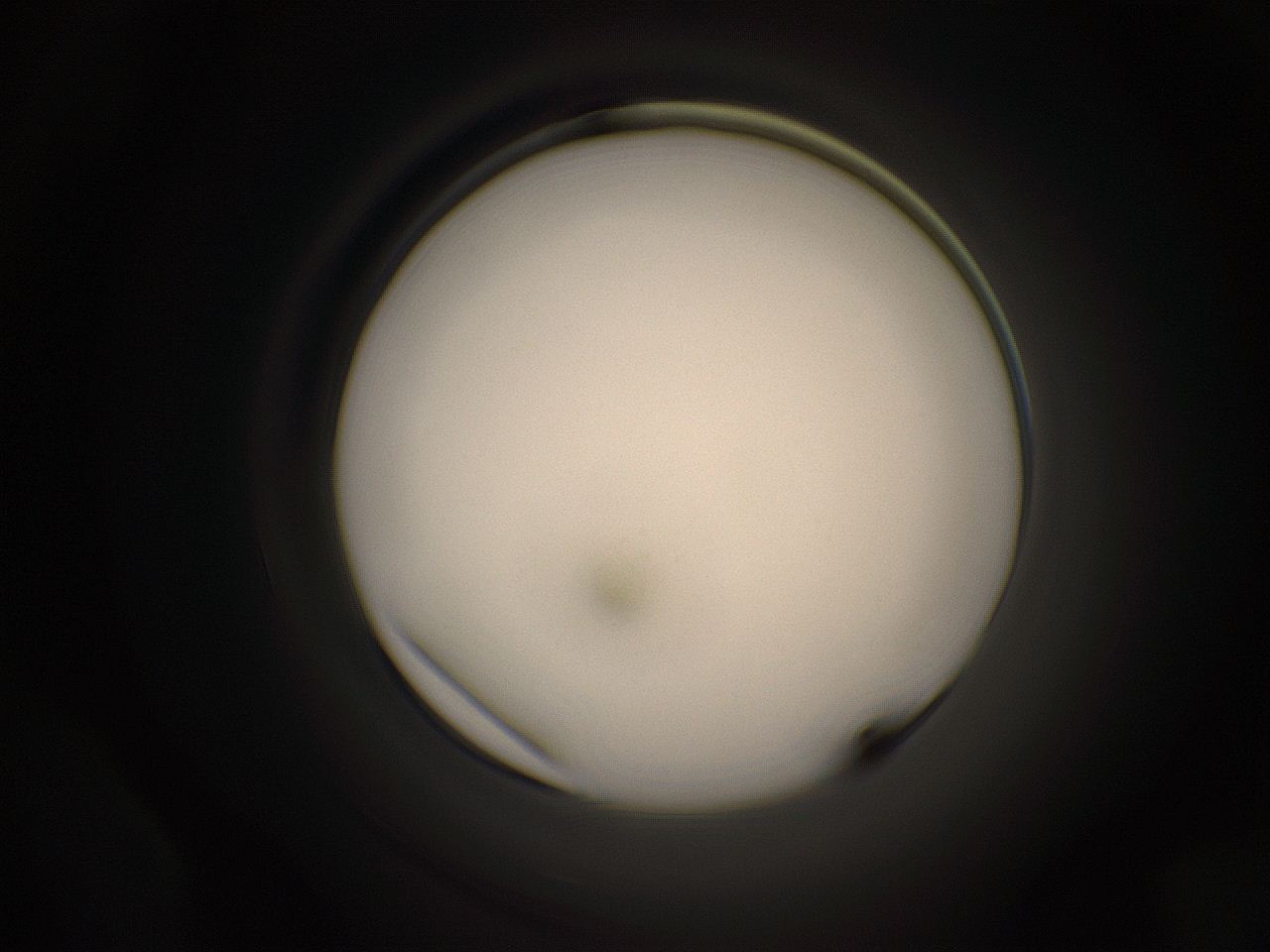 05jg_P24_ImagerDefaults_1.jpg
