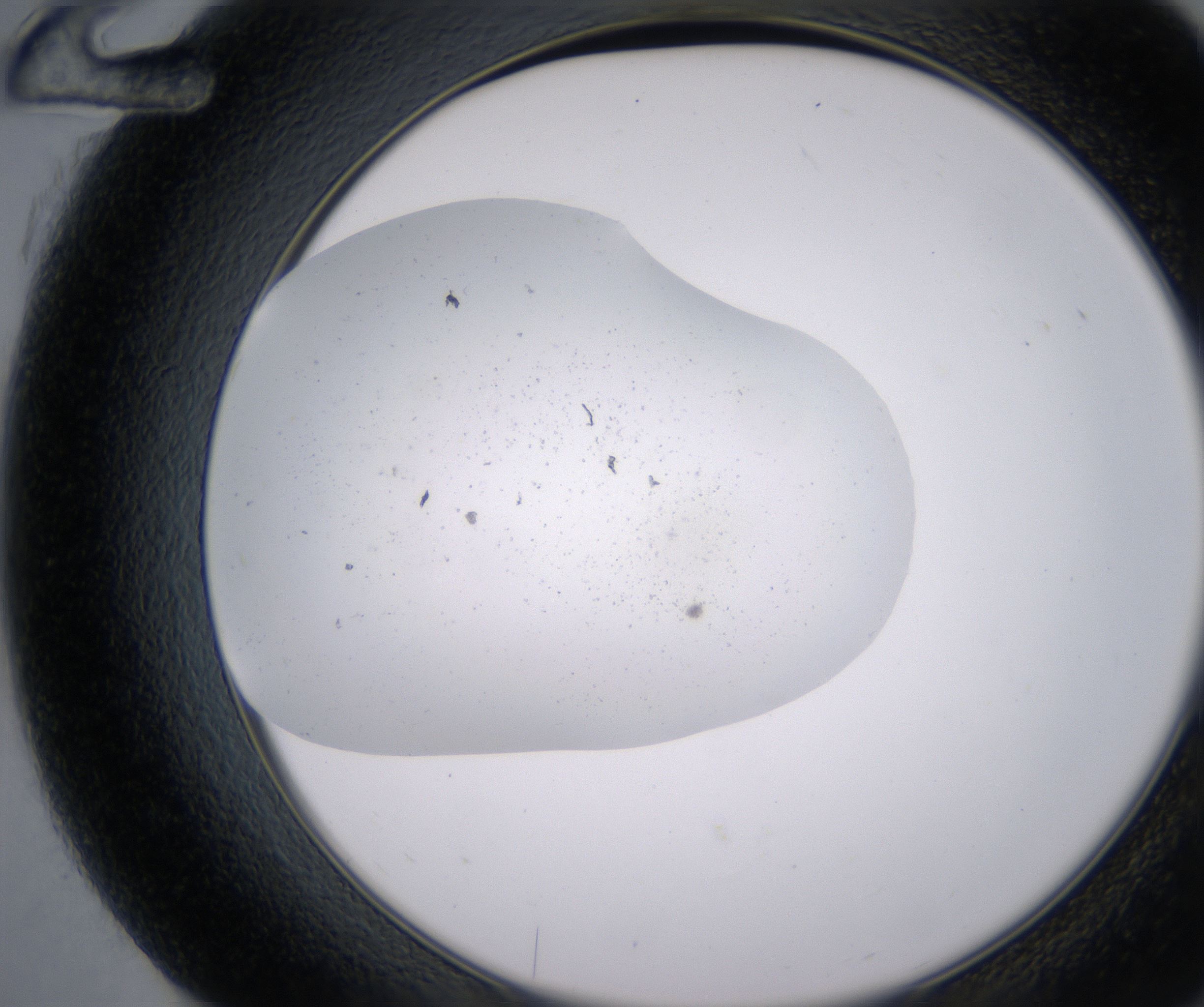 G12_HighResolution_Precipitate_2.jpg