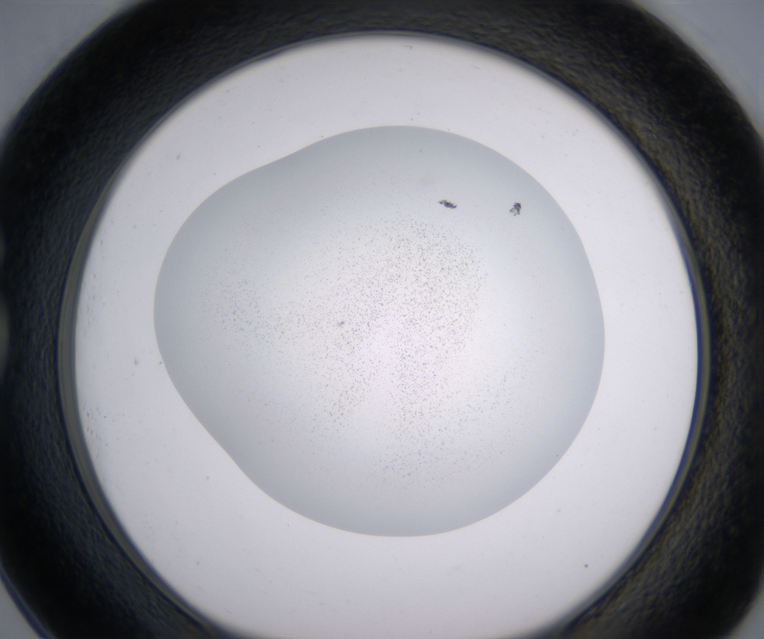 G1_HighResolution_Precipitate_1.jpg