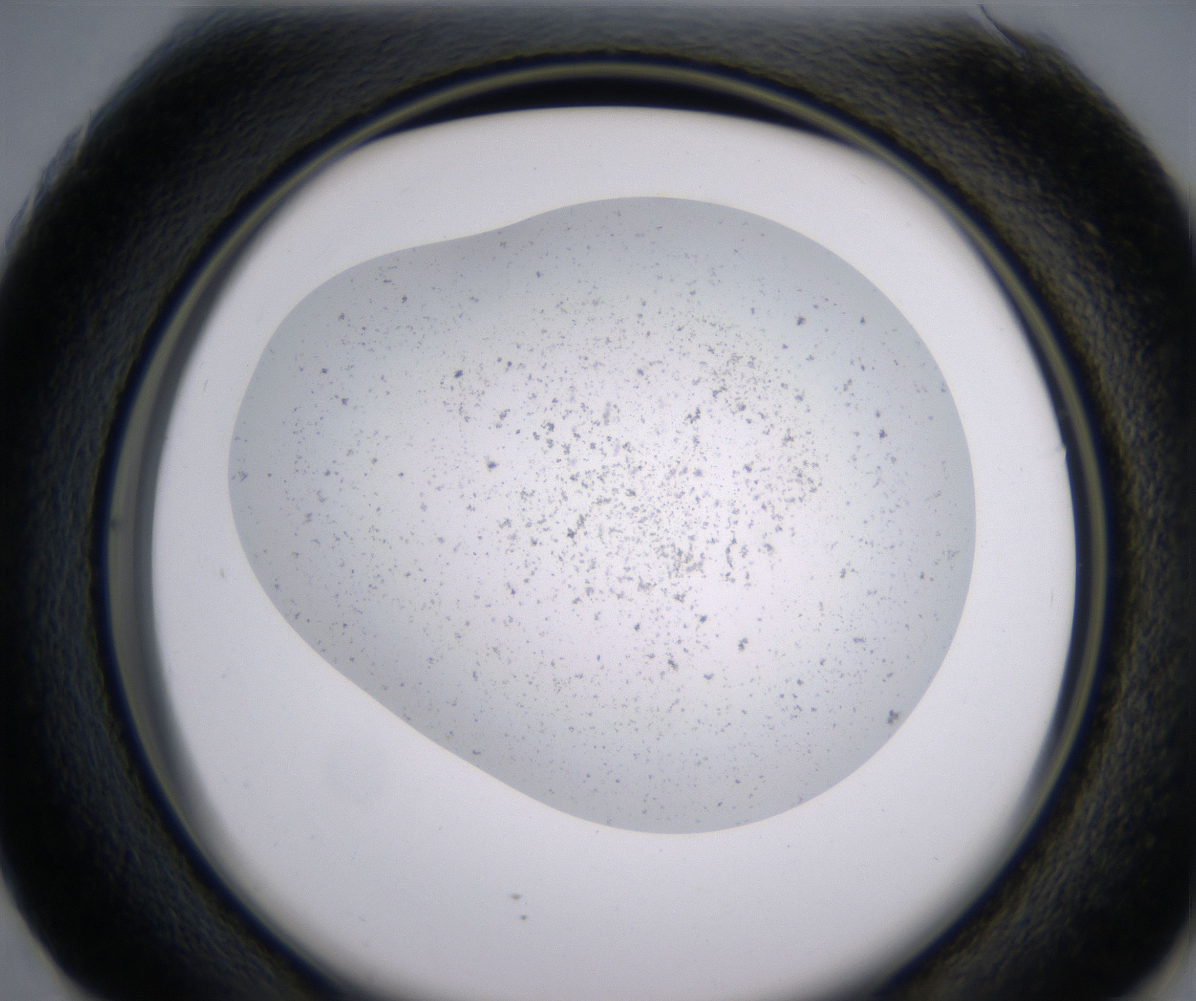 G1_HighResolution_Precipitate_2.jpg