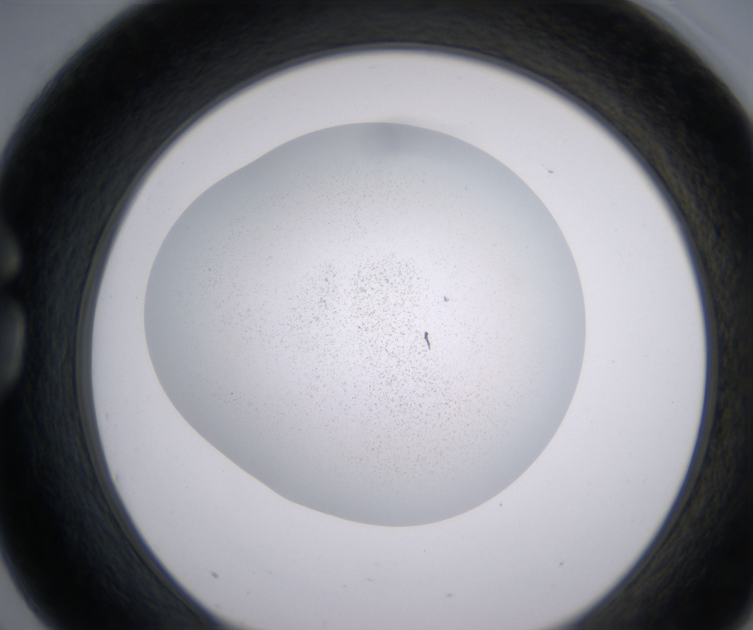 G3_HighResolution_Precipitate_1.jpg