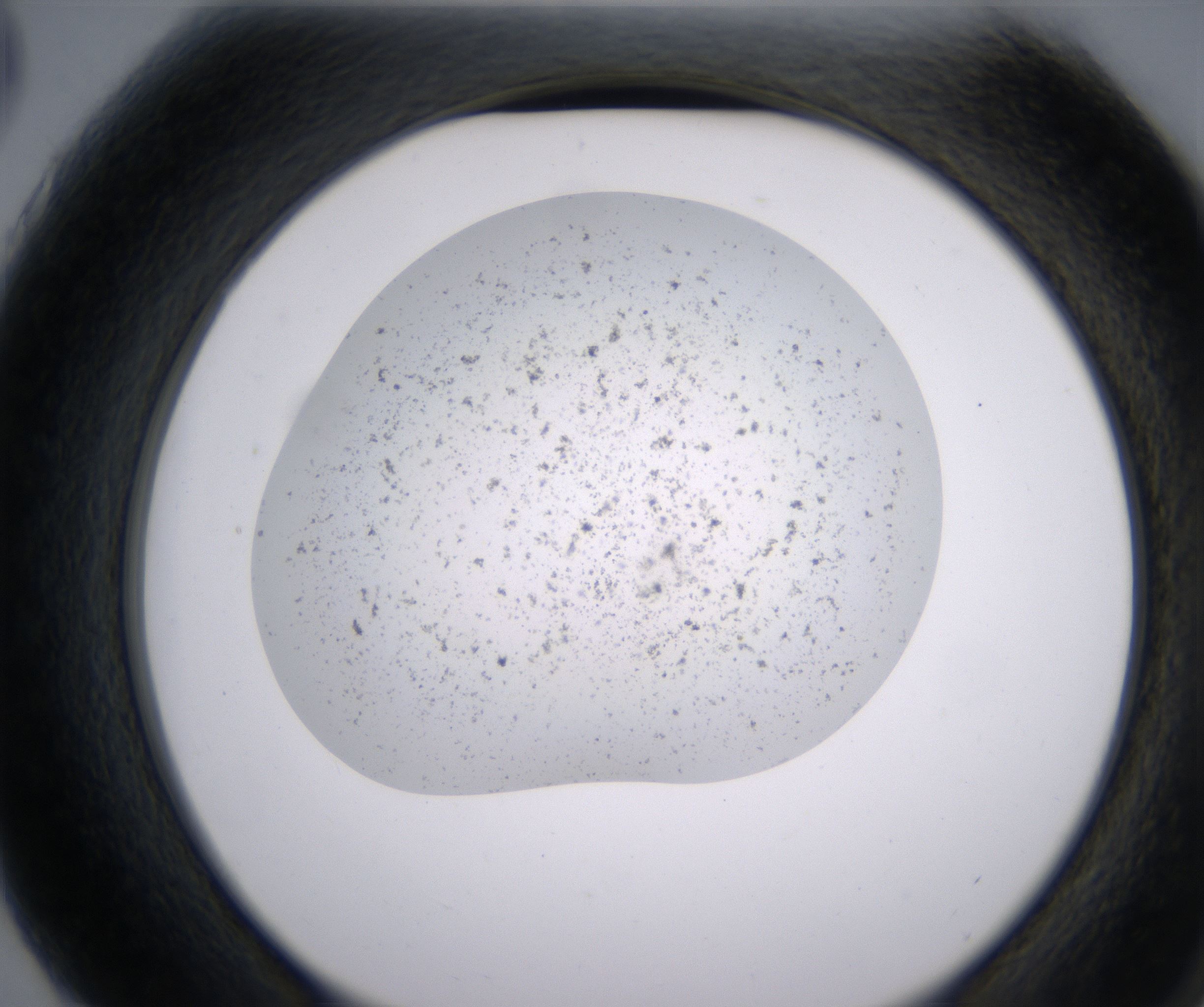 G3_HighResolution_Precipitate_2.jpg