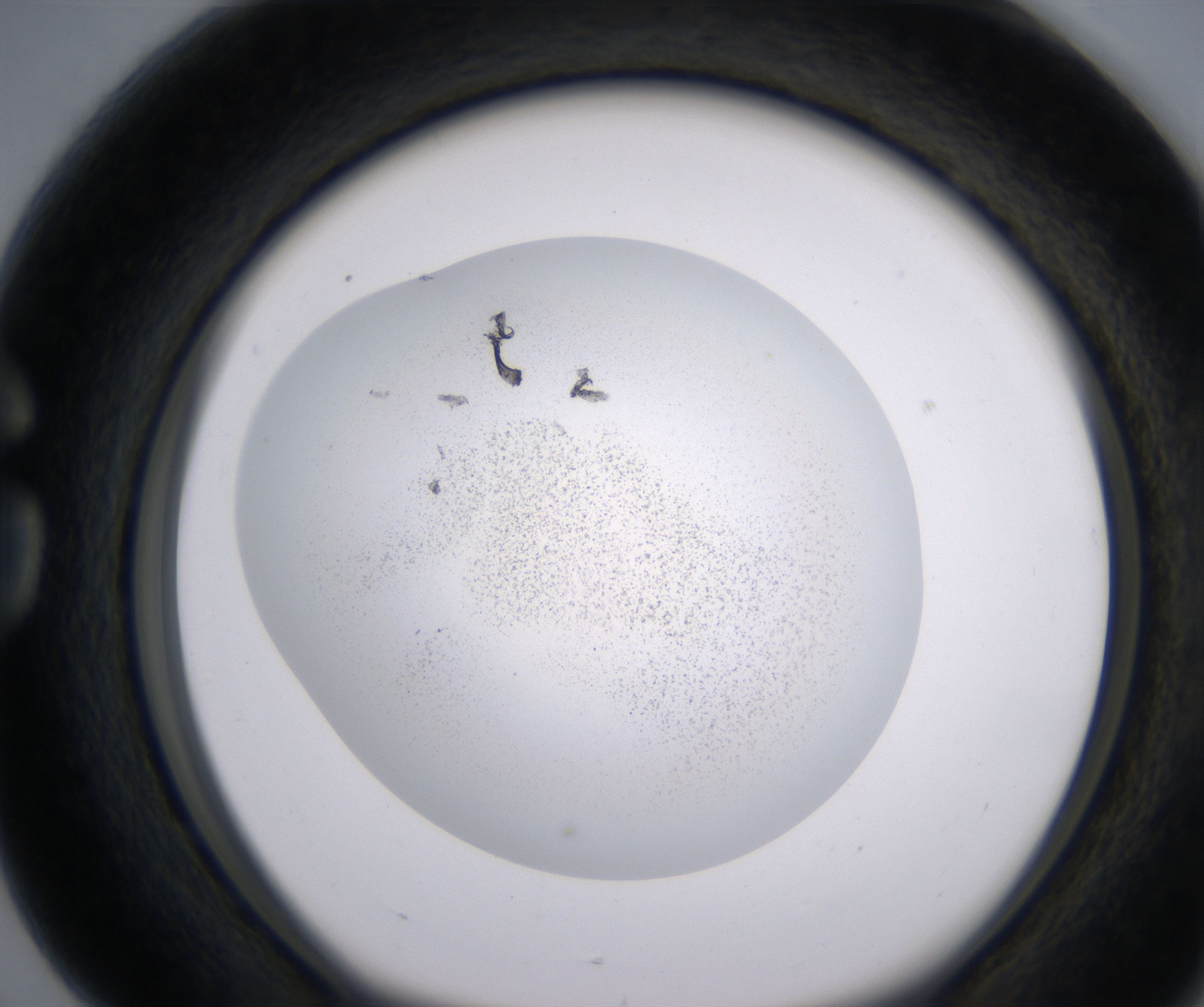 G4_HighResolution_Precipitate_1.jpg