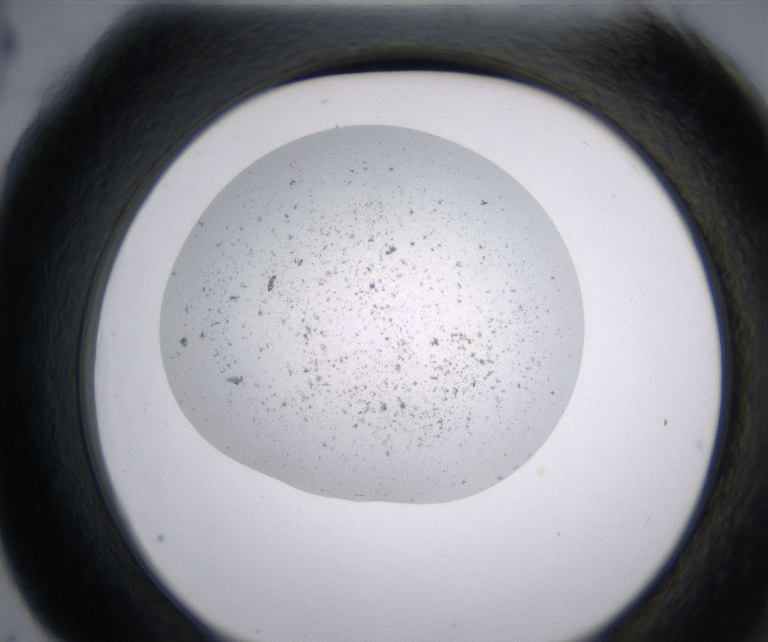 G4_HighResolution_Precipitate_2.jpg